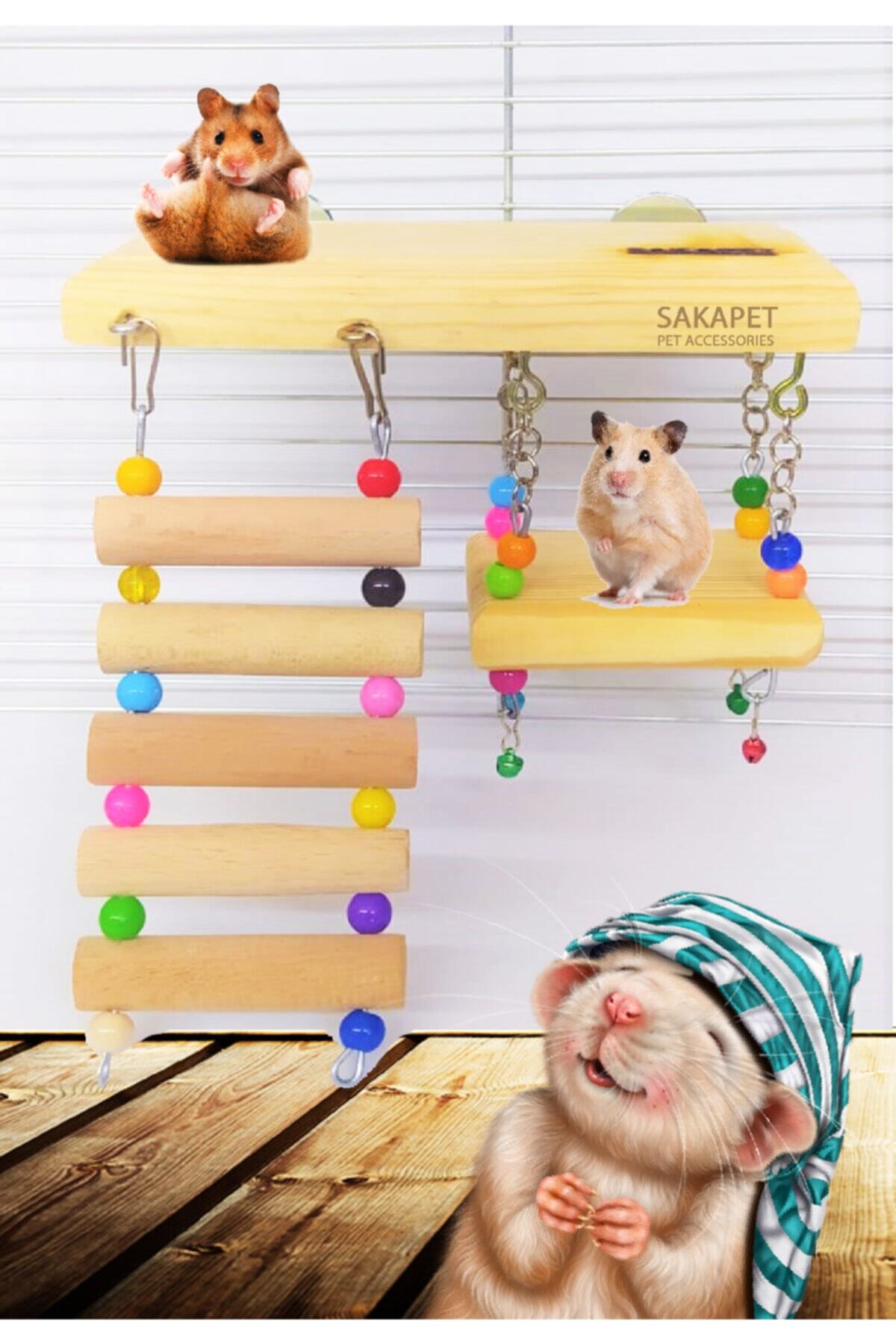 SAKAPET Hamster Oyun Parkuru