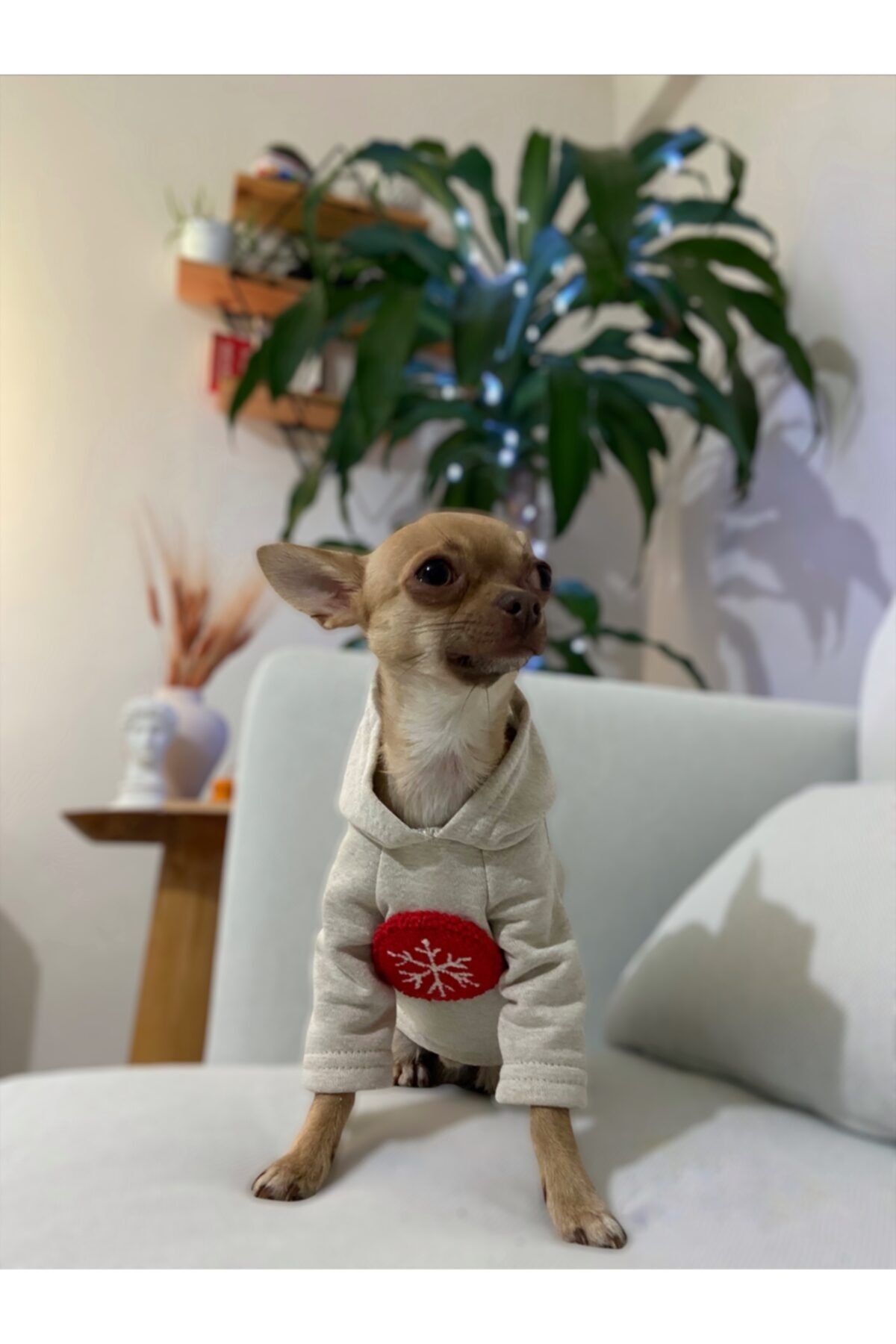 Paws and Marks Krem Kar Tanesi Punch Işlemeli Kapüşonlu Kedi-köpek Kıyafeti