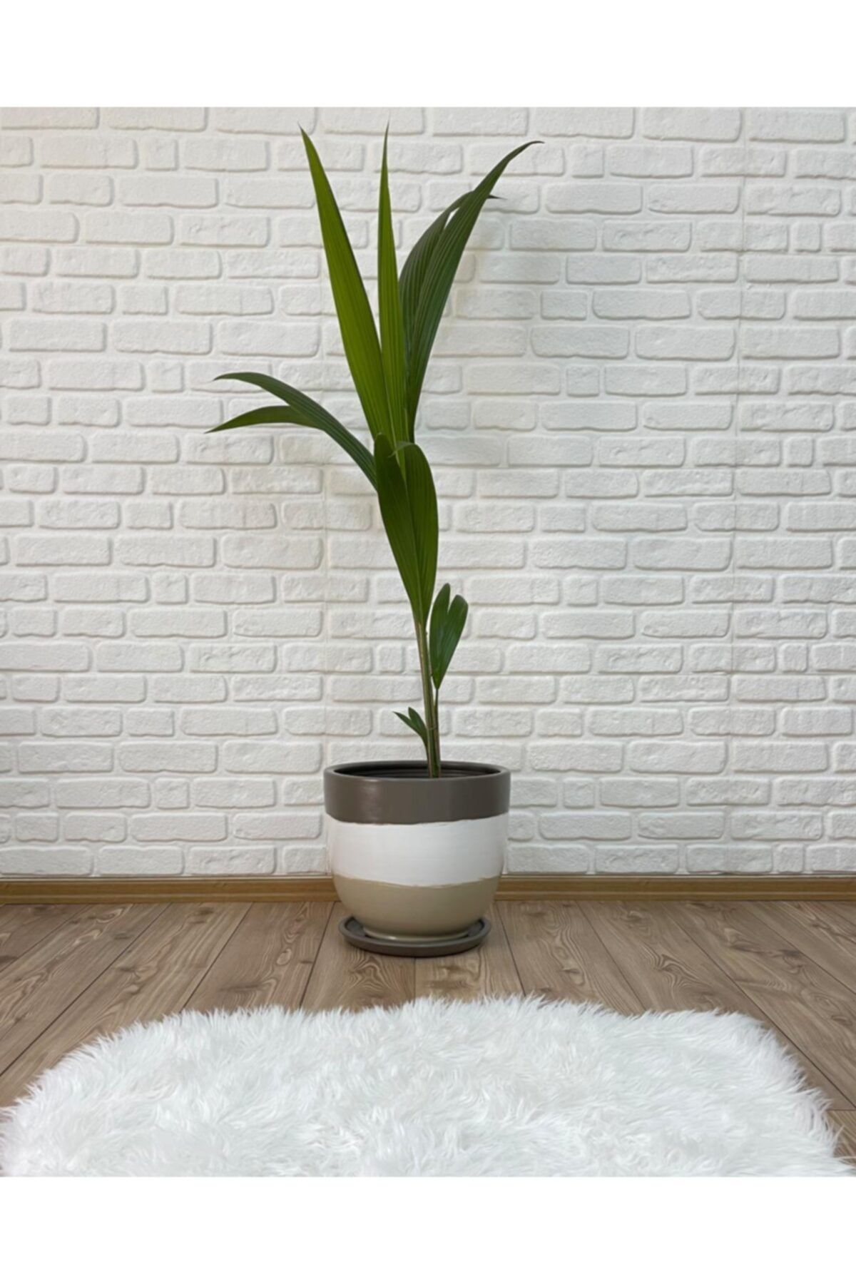 odka Saksı Tabaklı 30cm Etnik Seri