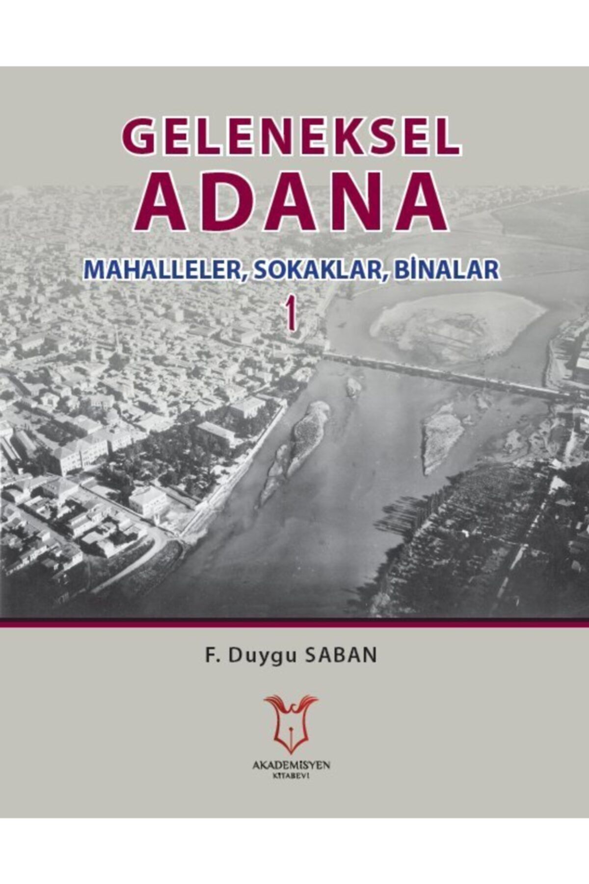 Akademisyen Yayınevi Geleneksel Adana Mahalleler, Sokaklar, Binalar