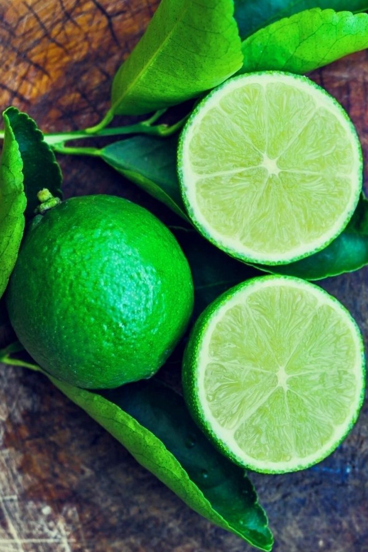 RAÇAM BOTANİK Mruıttrl9639