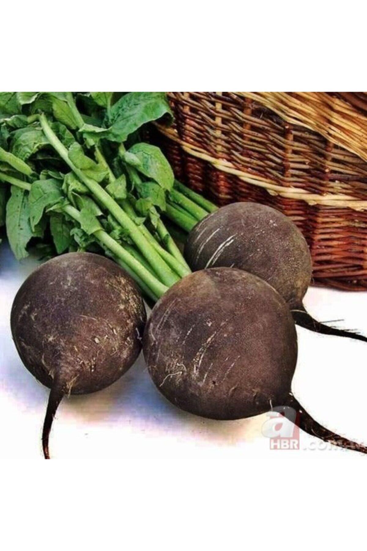 Maya Tropikal Organik Siyah Turp 0,5 kg