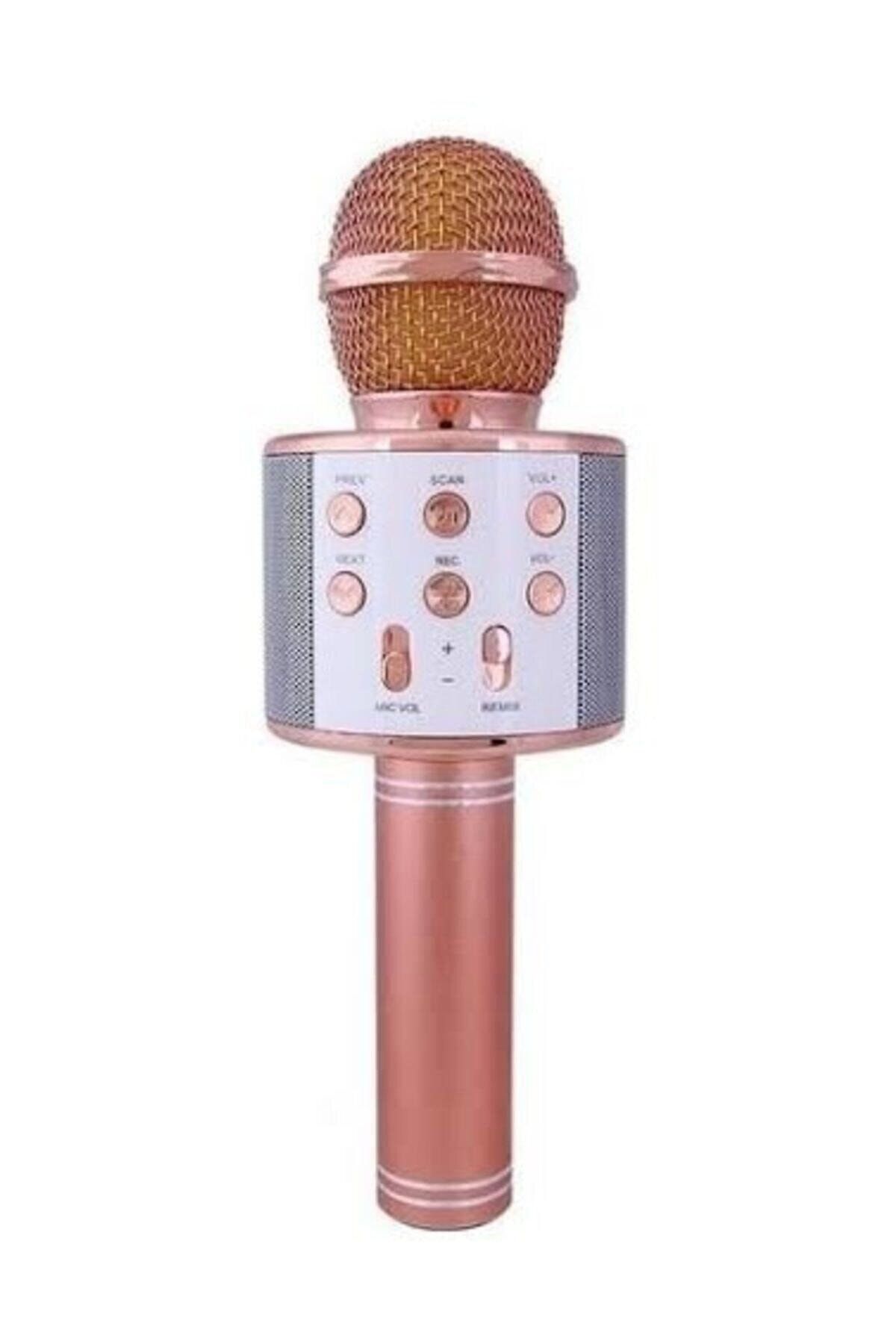GENTRECO Karaoke Mikrofon Bluetooth Hoparlör Usb Sd Kart Ve Aux Girişli (rose Gold)