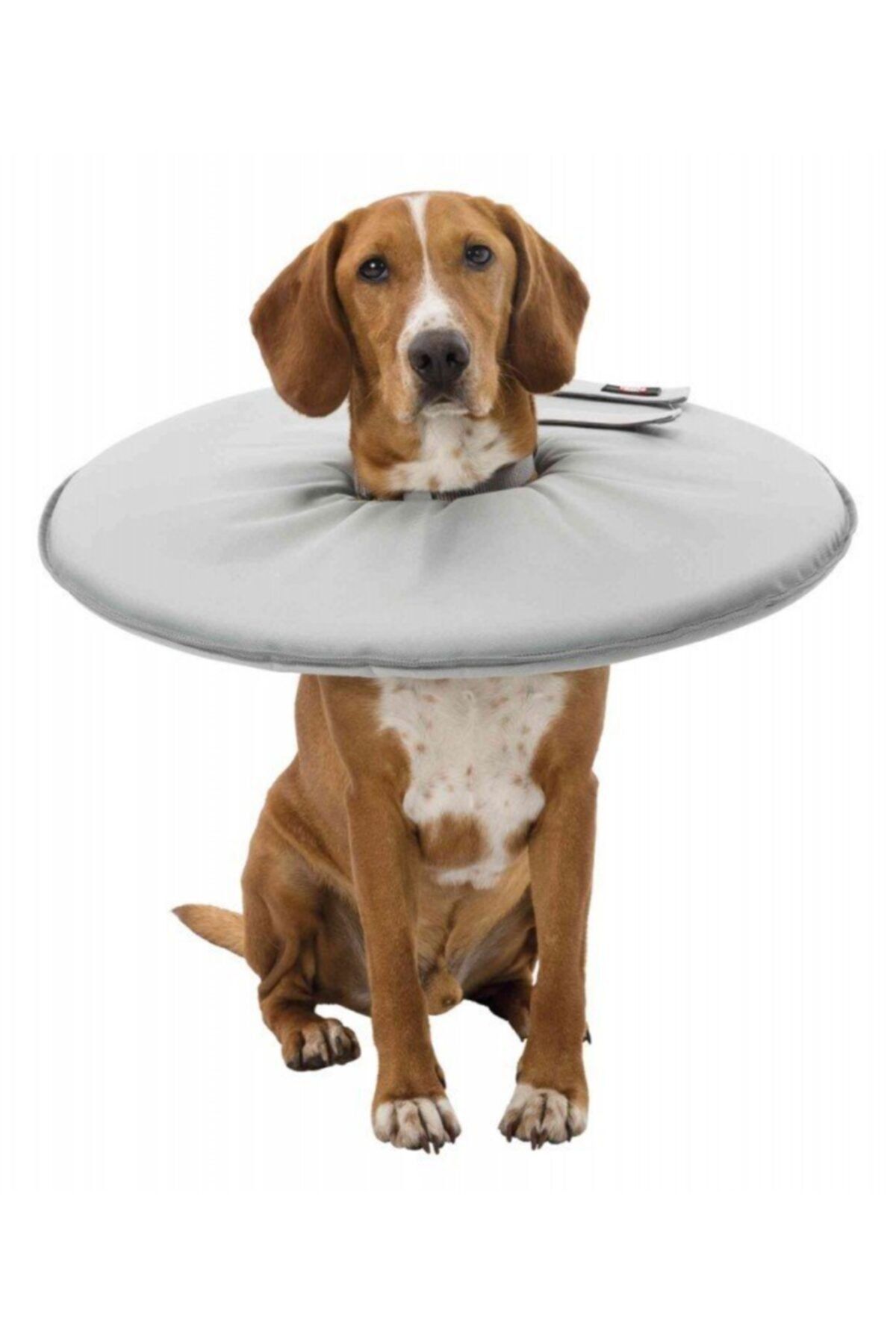 angel store Köpek Yakalığı Xl:60-64cm/29cm Gri