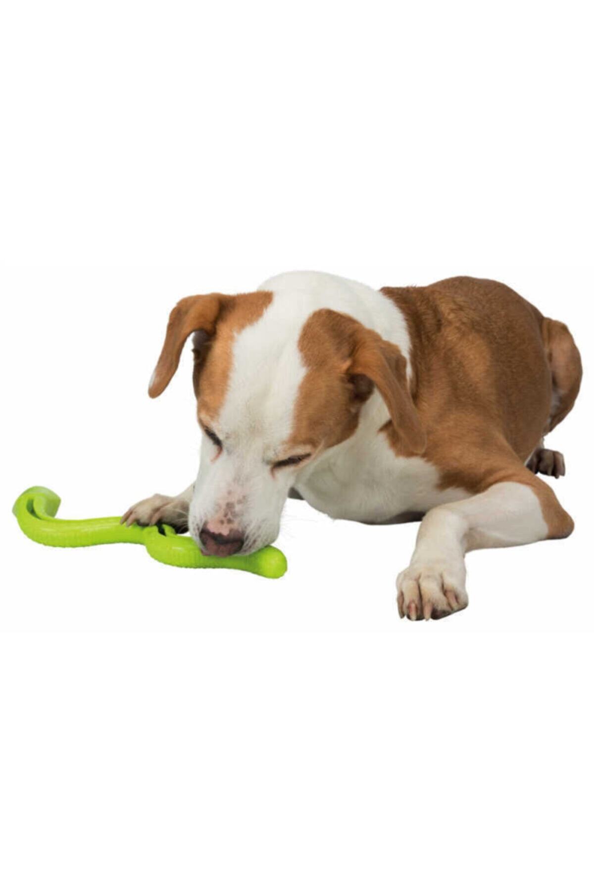 angel store Köpek Ödül Oyuncağı, Yeşil Yılan, Tpr, 42cm