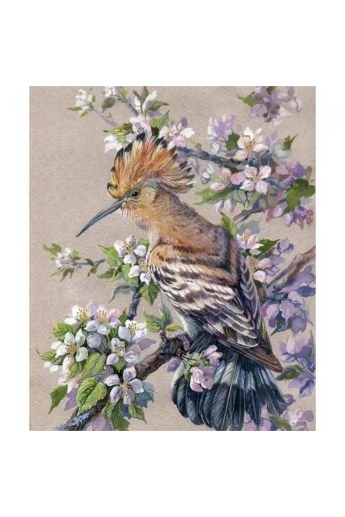 Fupe Shop Bahar Ve Kuş Sayılarla Boyama Seti Kasnaklı 70 X 90 Cm