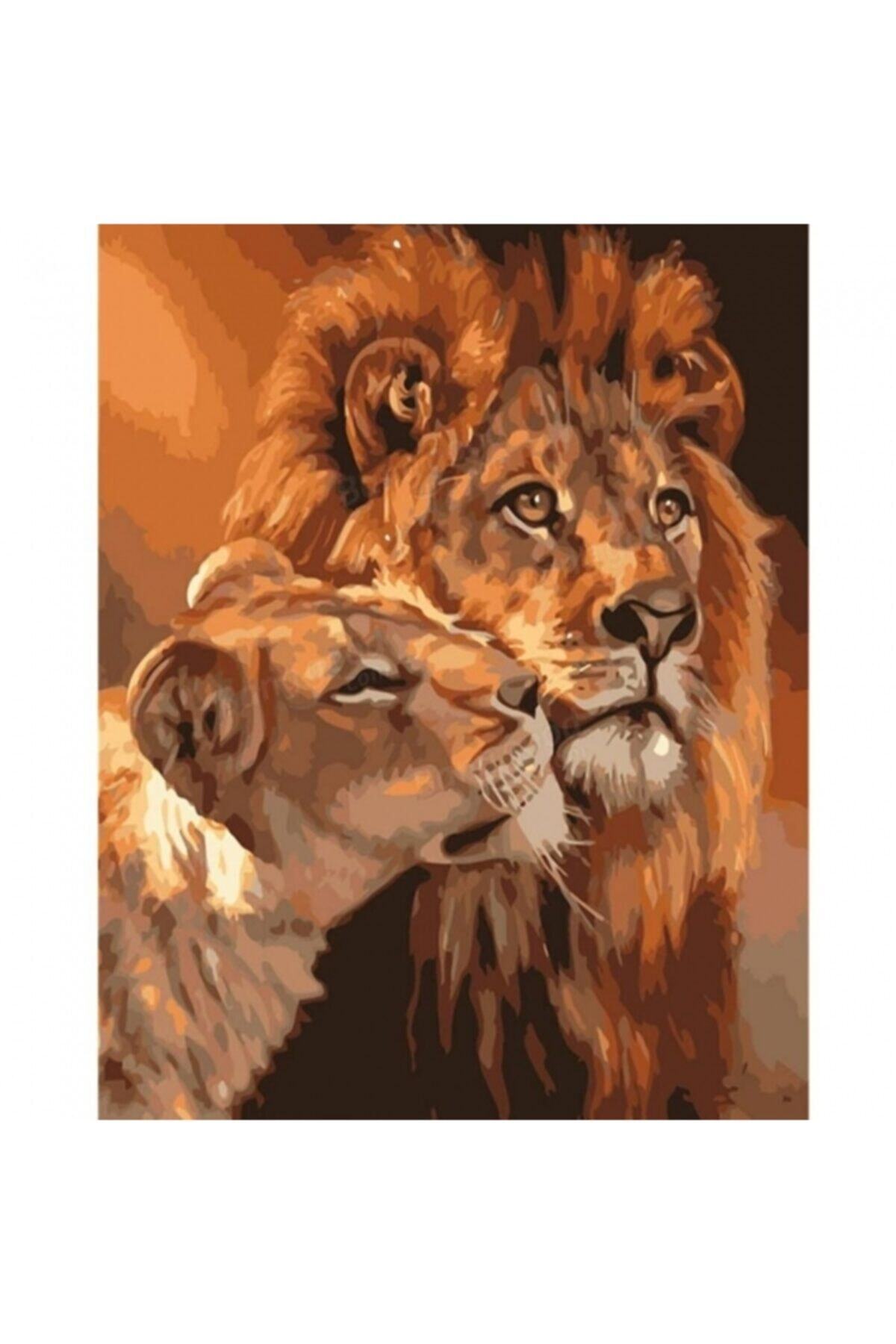 Fupe Shop Aslanların Aşkı Sayılarla Boyama Seti Kasnaklı 90 X 110 Cm