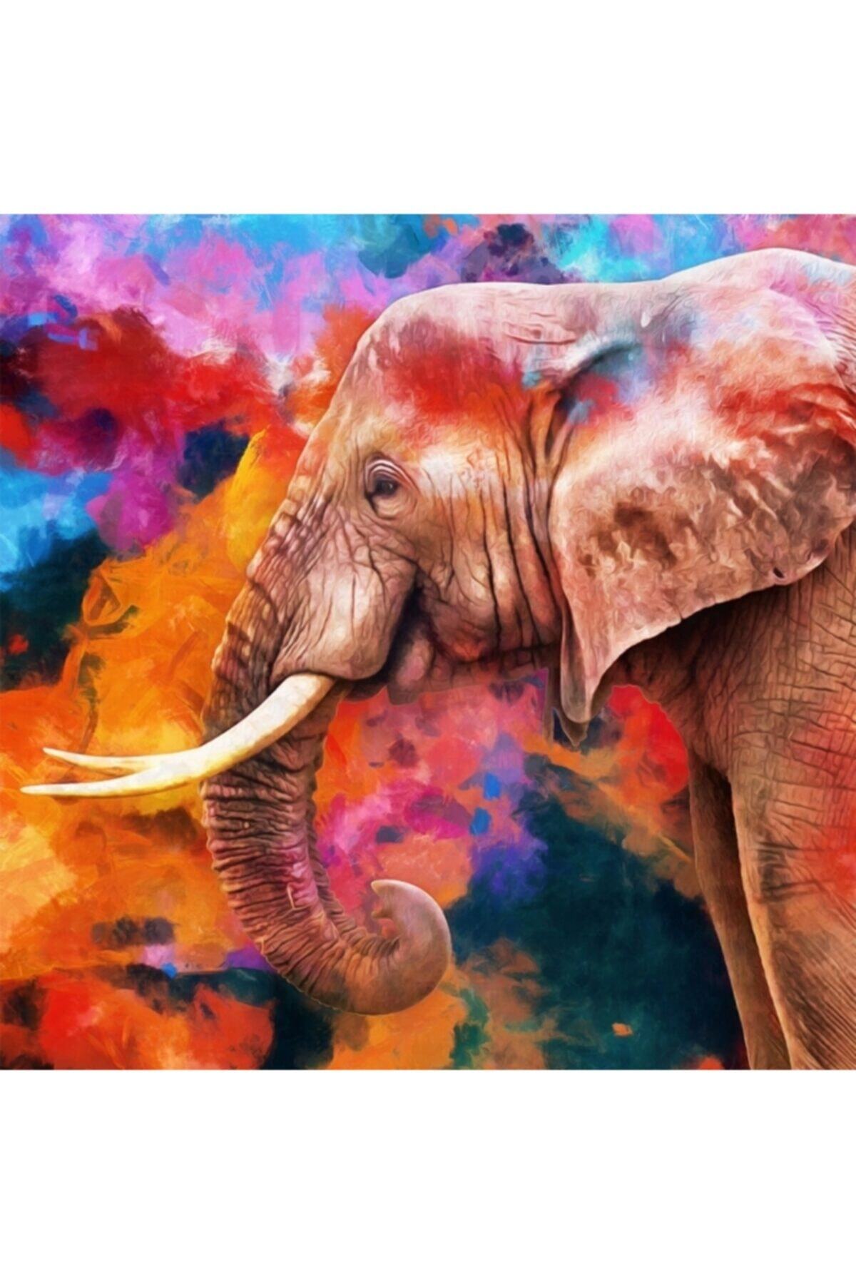 Fupe Shop Güzel Fil Sayılarla Boyama Seti Kasnaklı 90 X 110 Cm
