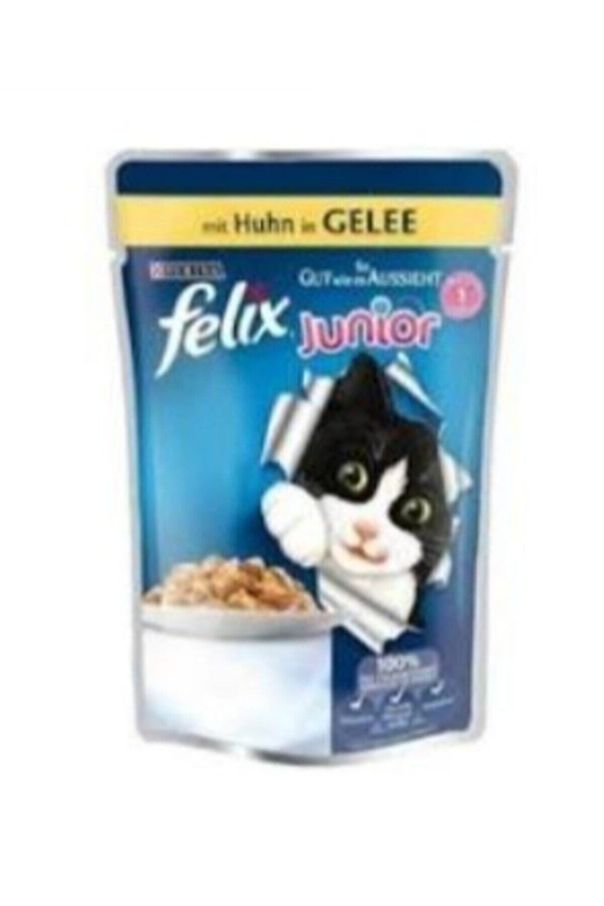 FELIX Tavuklu Yavru Kedi Maması 100 gr