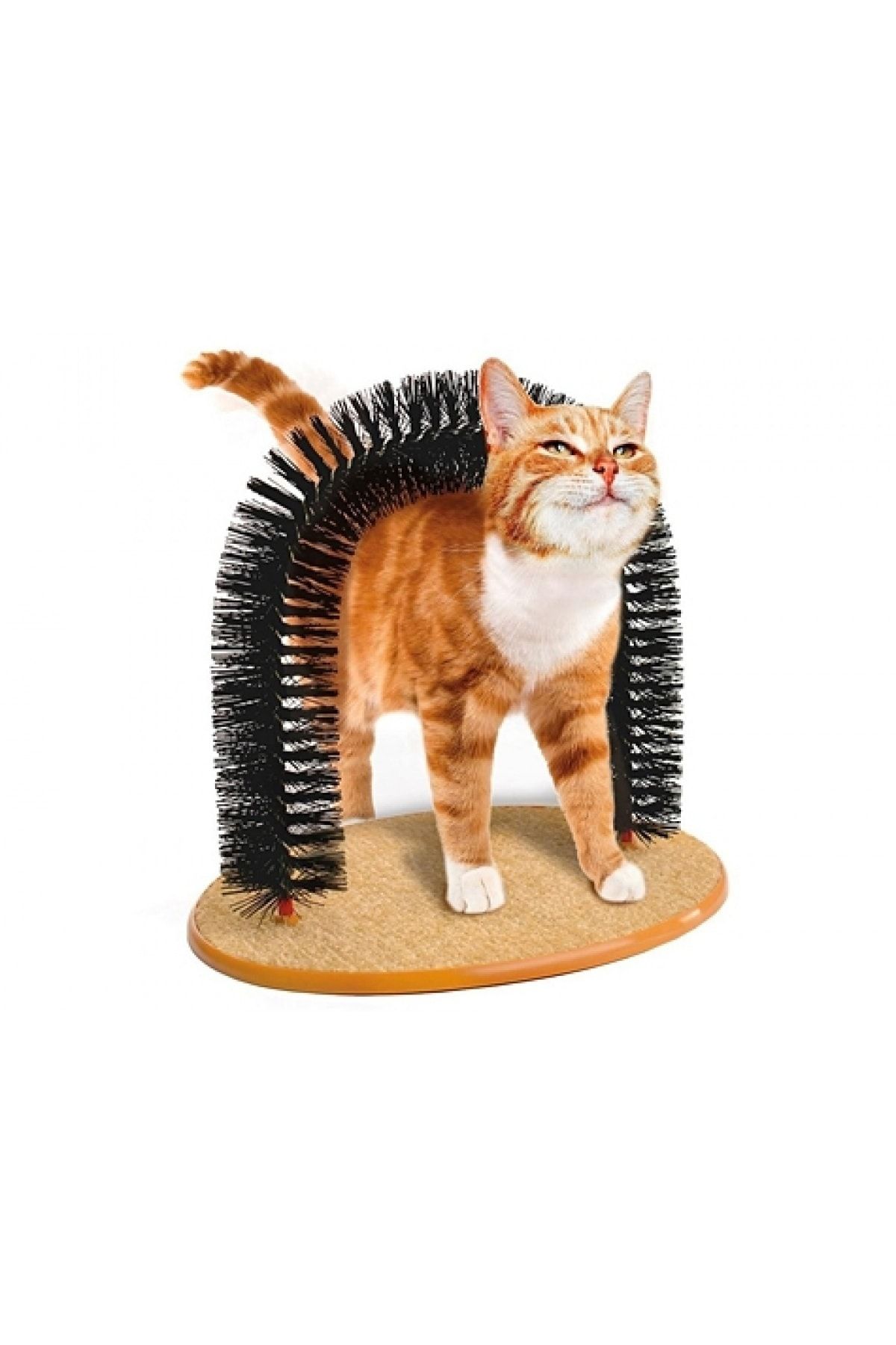 DREAM VEGA Purrfect Arch Kedi Tırmalama Ve Kaşınma Tahtası