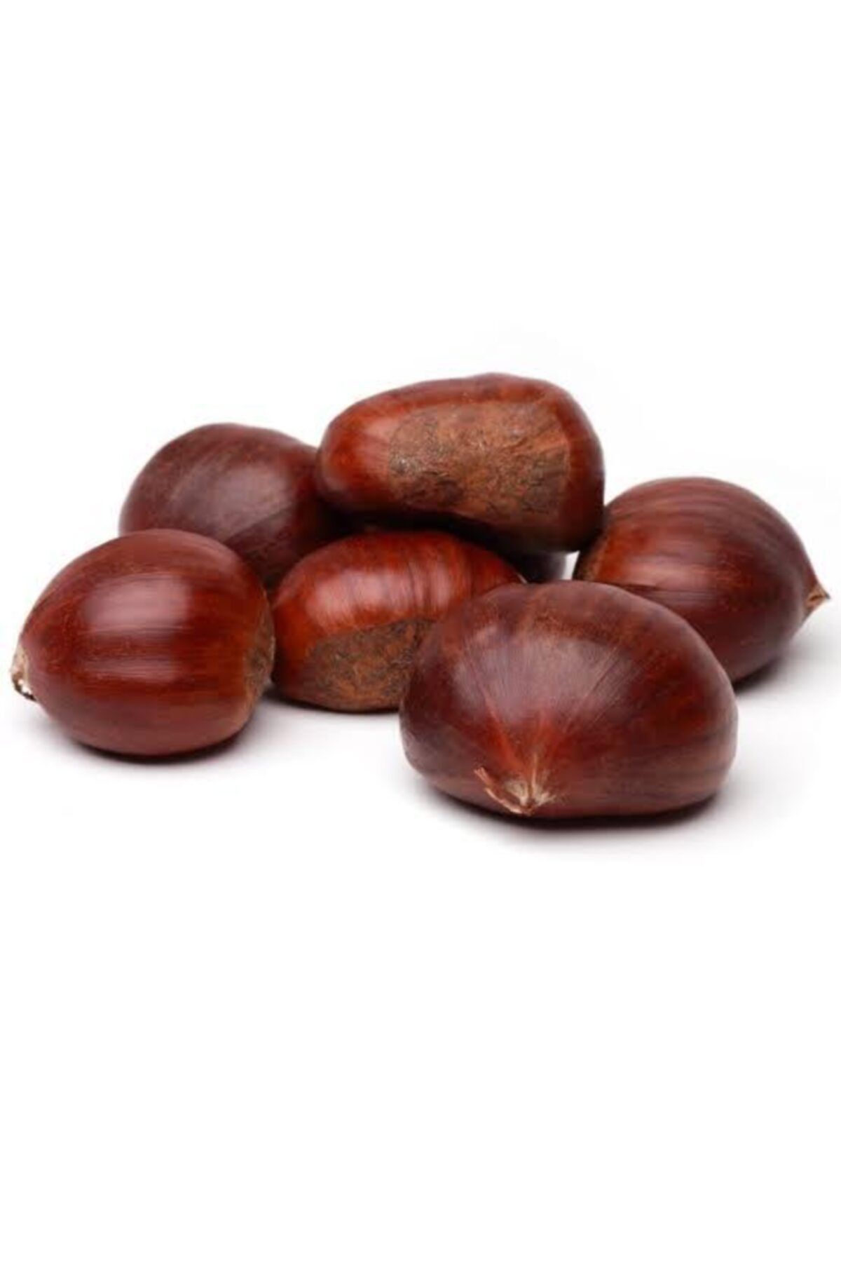 Temizsebzemeyve Kestane Jumbo 1 kg