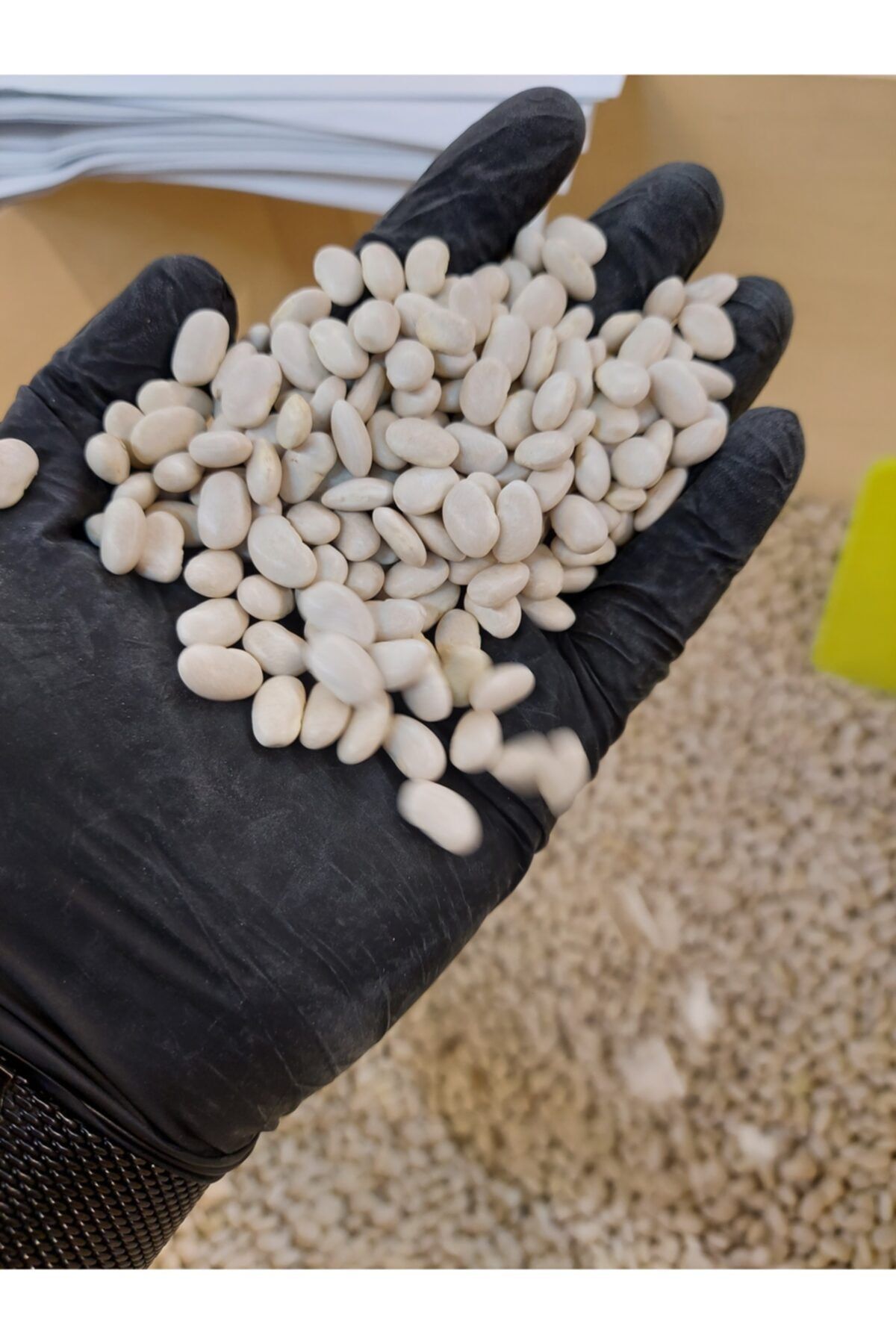 AKKUŞ ŞEKER FASULYESİ Niğde Fasülye Dökme Yeni Mahsül 1kg