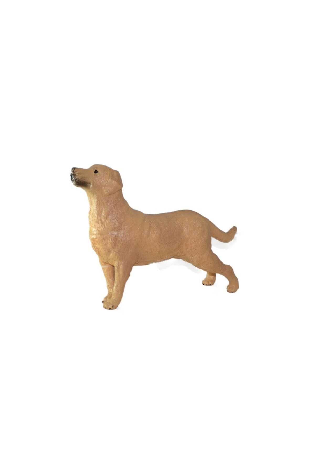Burnis Toy Toys Soft Sevimli Köpekler Seri 2 Fırsat