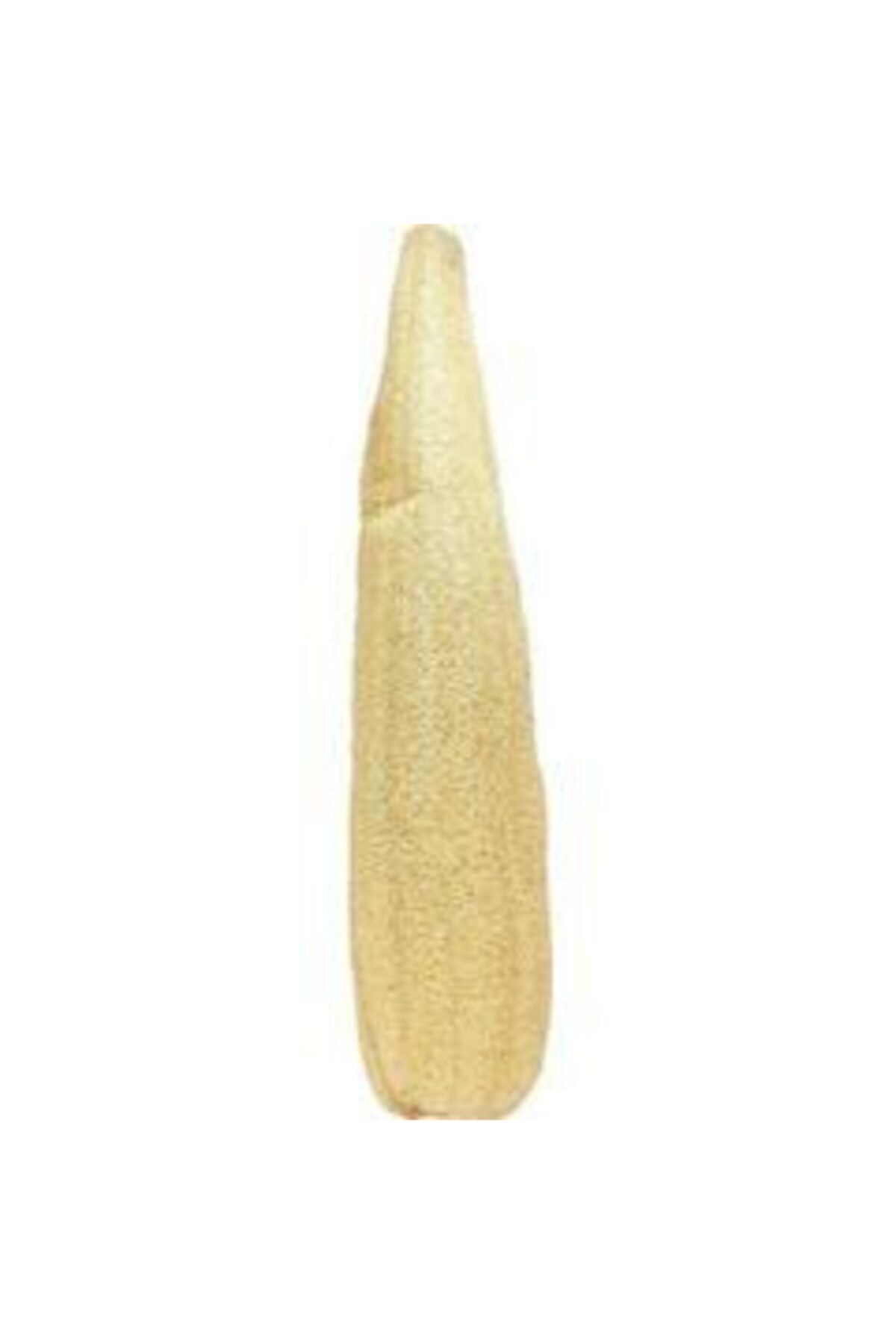 Yeşil Nisan Doğal Kabak  Banyo Uzun Kabak Lifi 60-65 cm