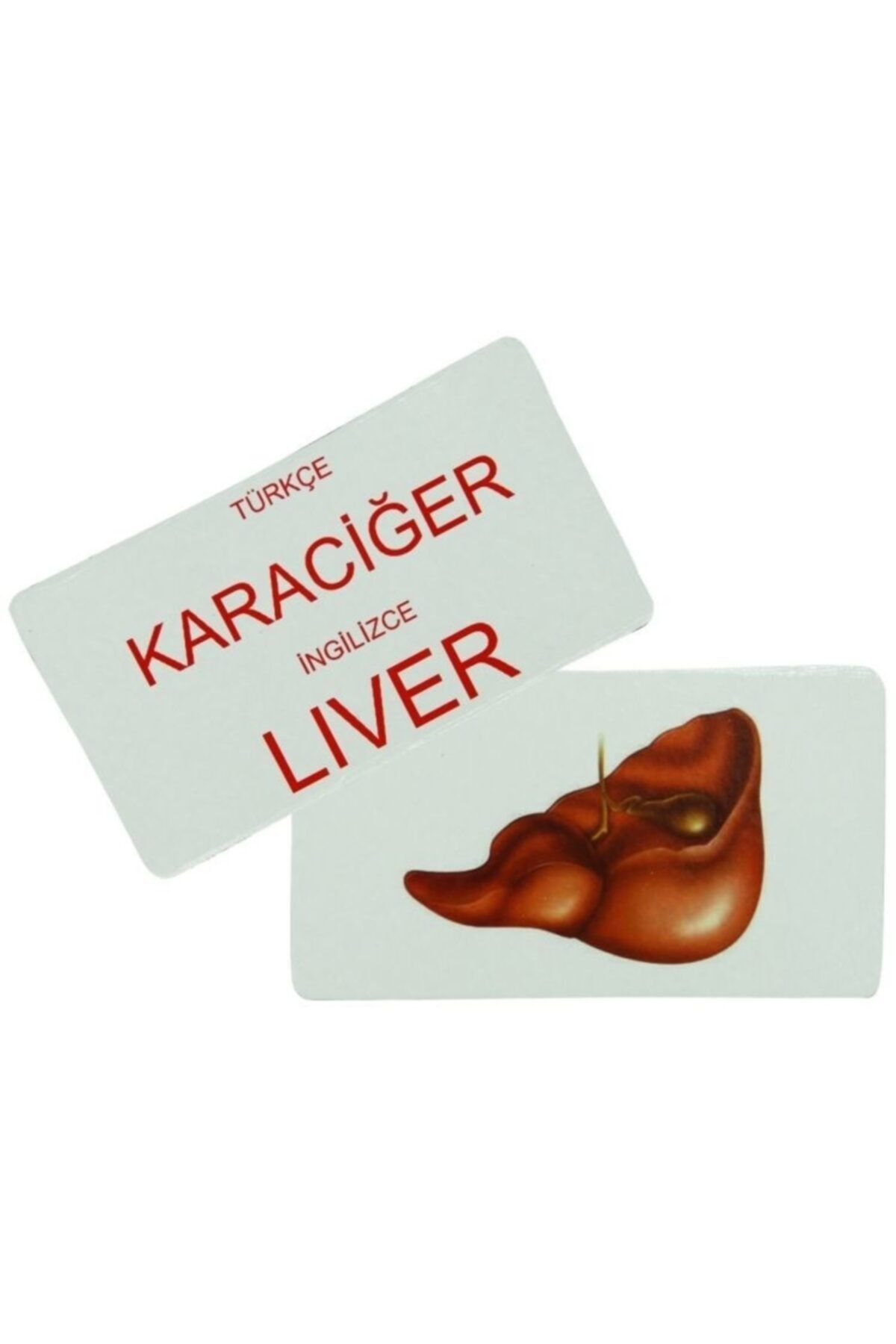 Burnis Toy Gerçek Eğitici Kavram Kartları 99