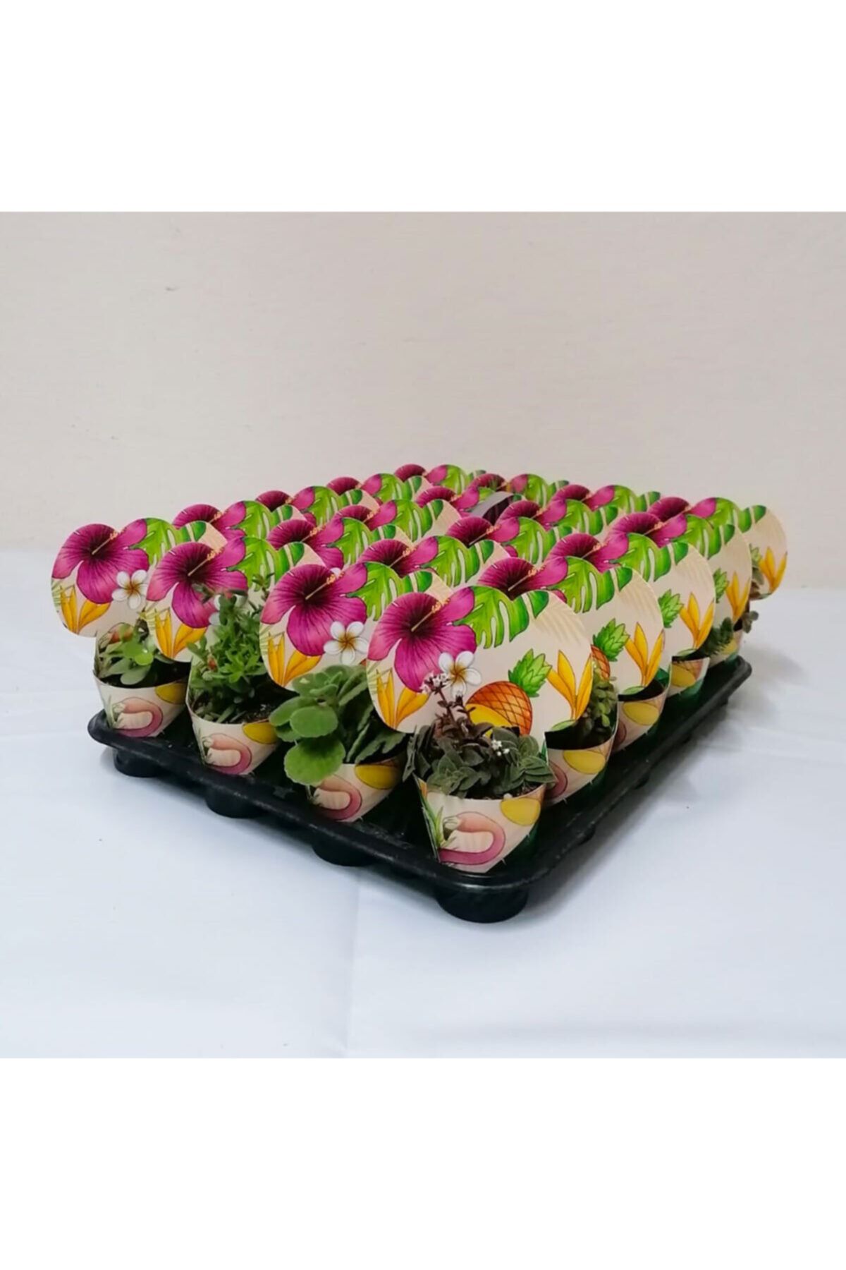 BENİM FİDANIM Flamingo Ve Ananas Desenli Kaplama