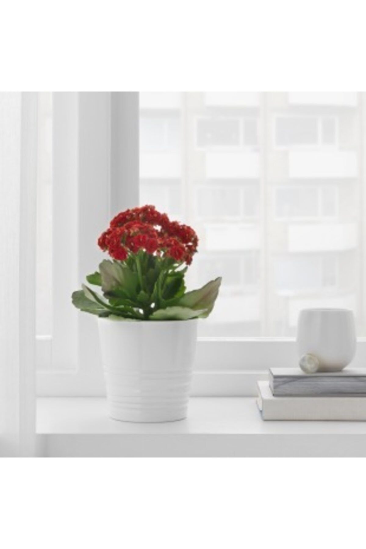 IKEA Beyaz Toprak Saksı
