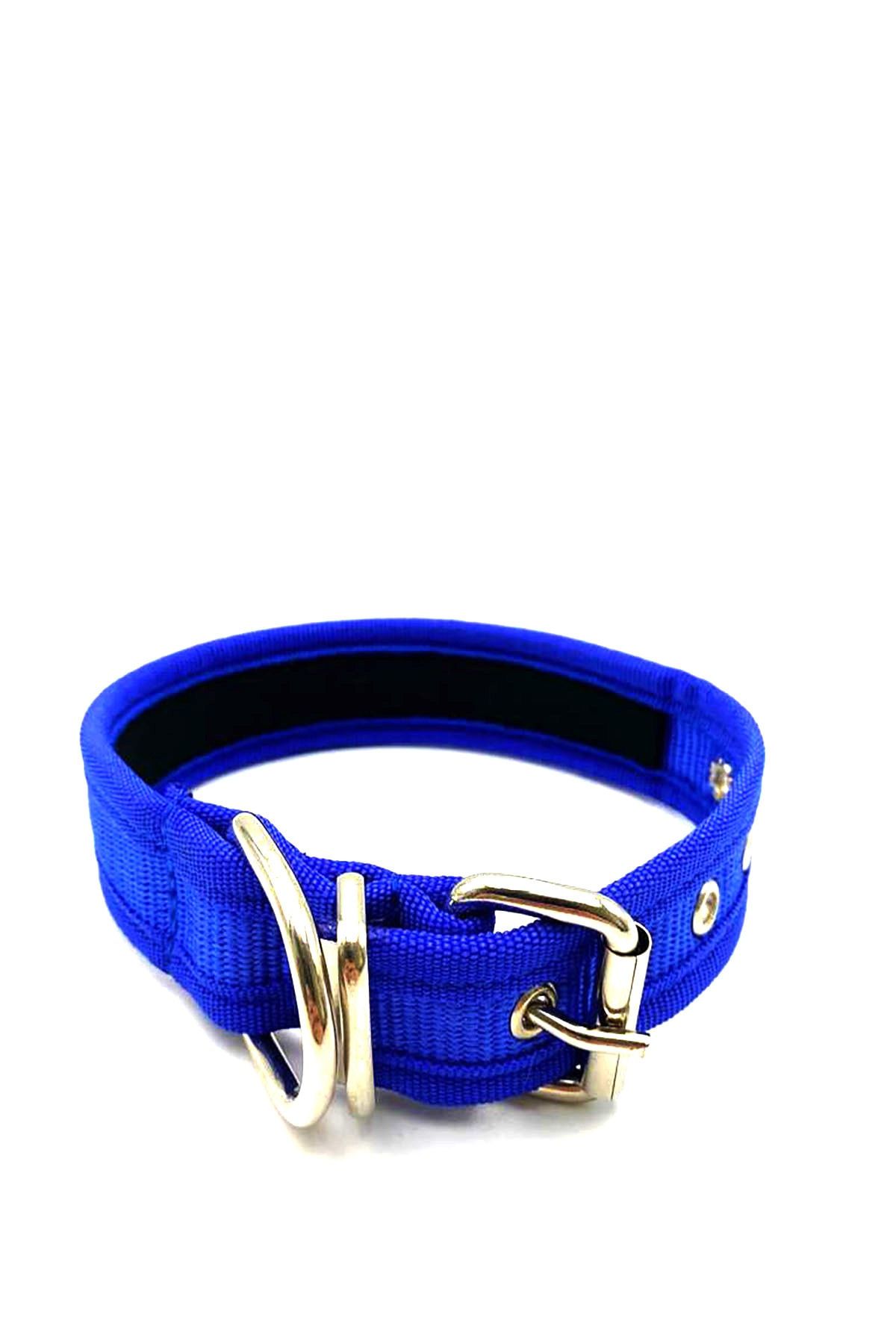Tasma Market Küçük Irk Ve Yavru Köpekler Için 30-38cm Köpek Boyun Tasması Lacivert Renk Kolon Tasma