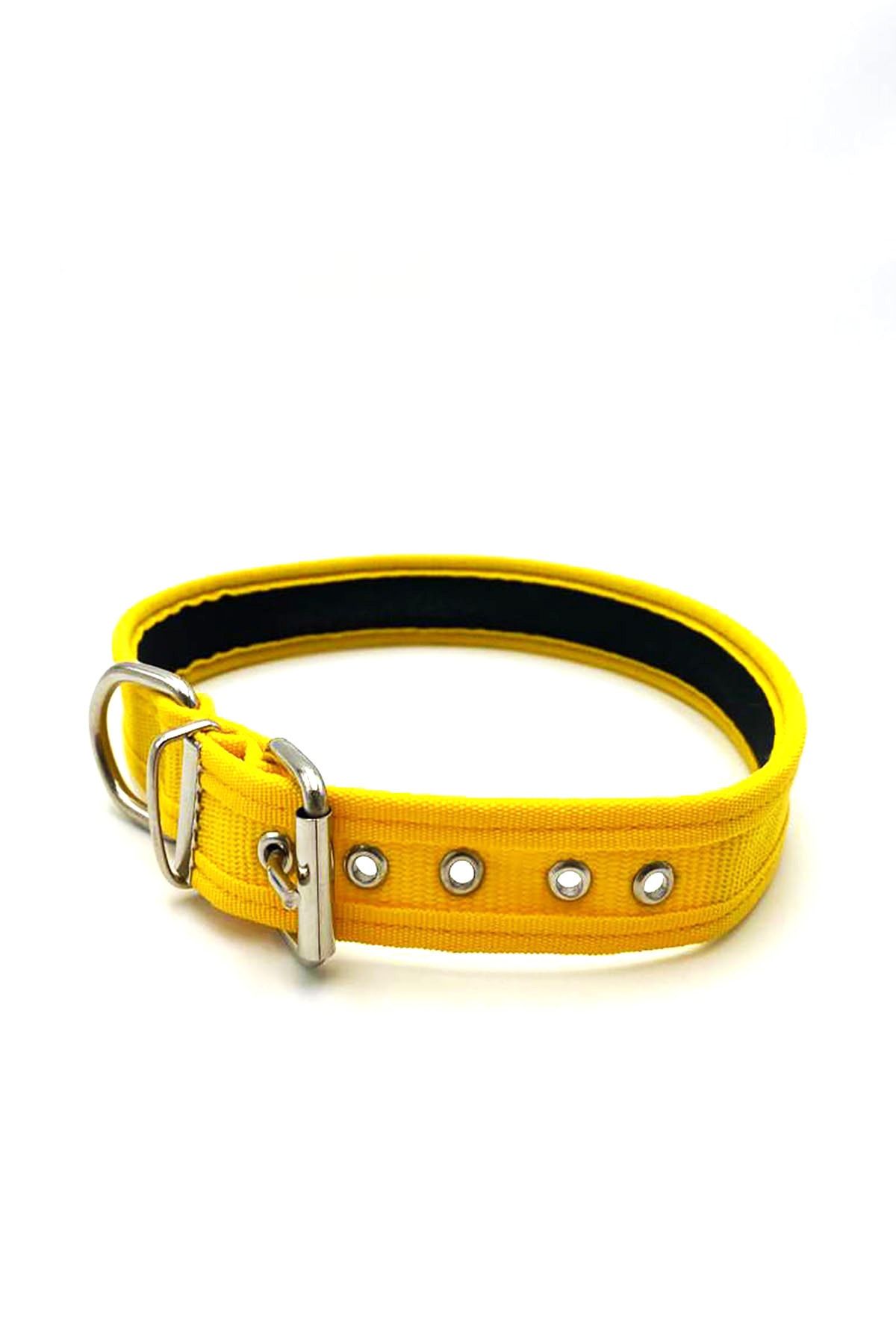 Tasma Market Orta Irk Ve Küçük Irk Köpekler Için 40-48cm Sarı Renk Köpek Tasması