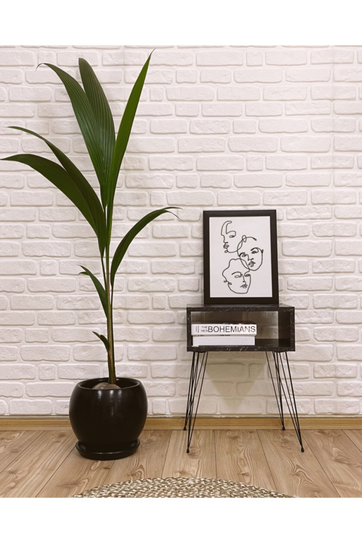 odka Küre Saksı Tabaklı 27cm Siyah Renk