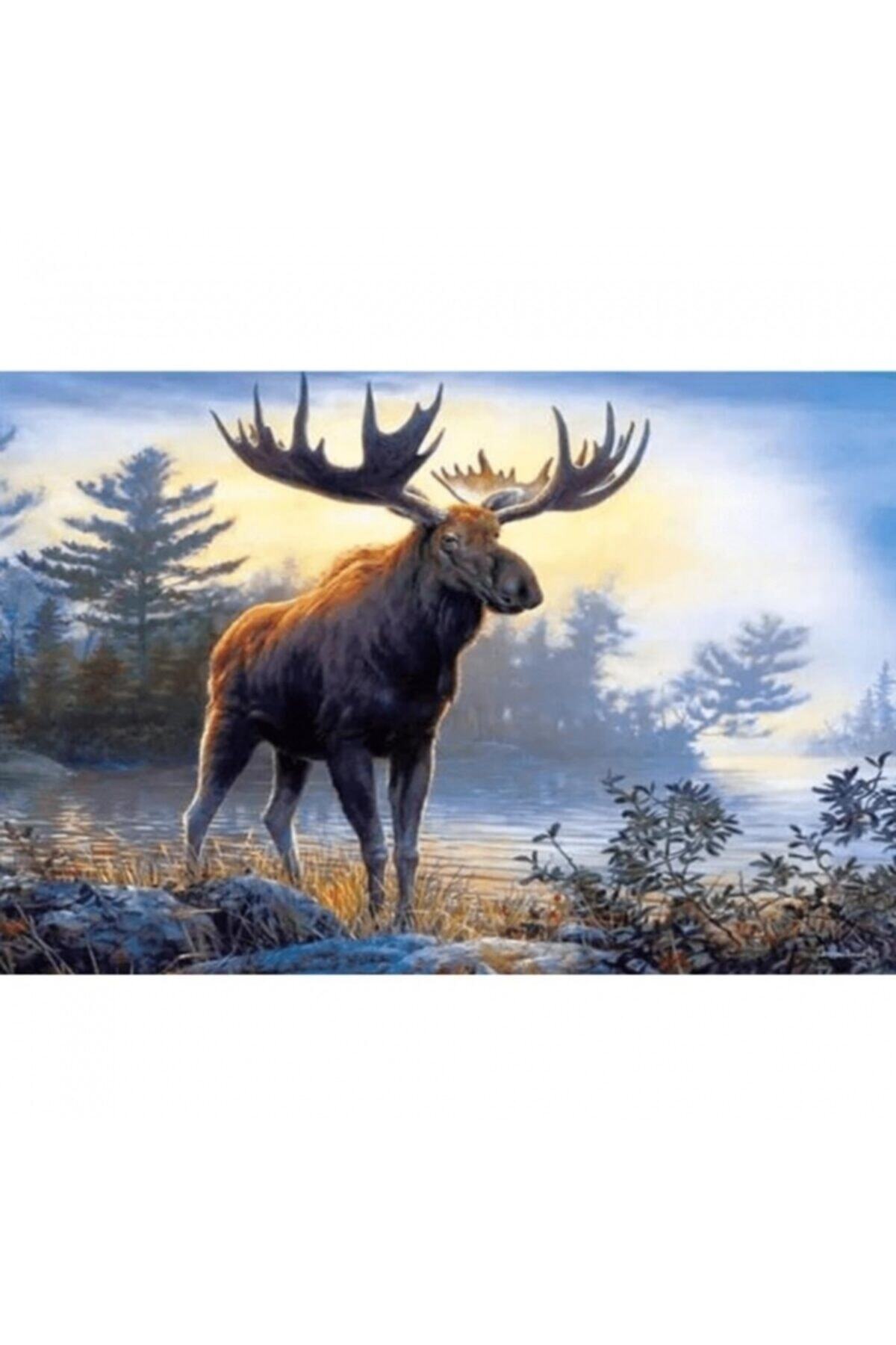 Fupe Shop Geyik Ve Orman Sayılarla Boyama Seti Kasnaklı 70 X 90 Cm