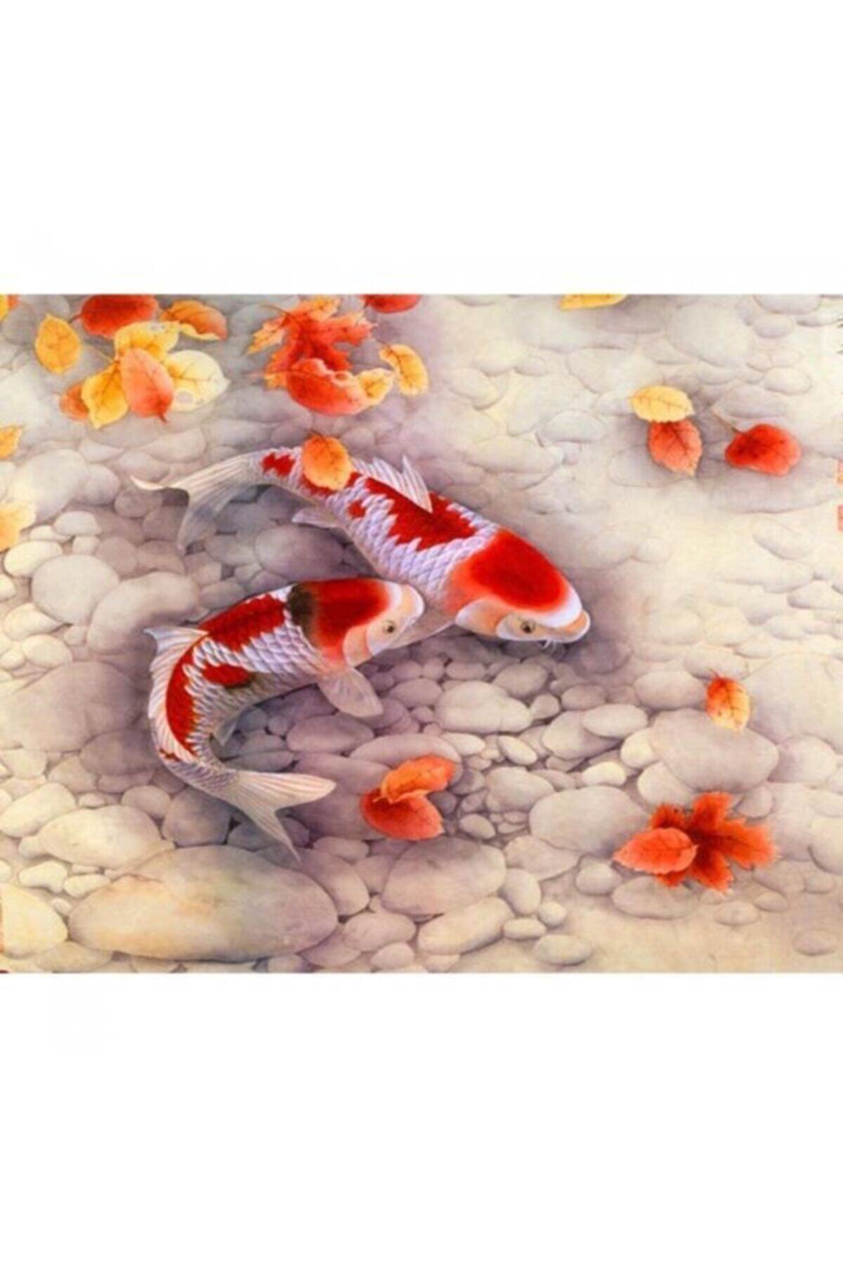 Fupe Shop Japon Balıkları Sayılarla Boyama Seti Kasnaklı 90 X 110 Cm