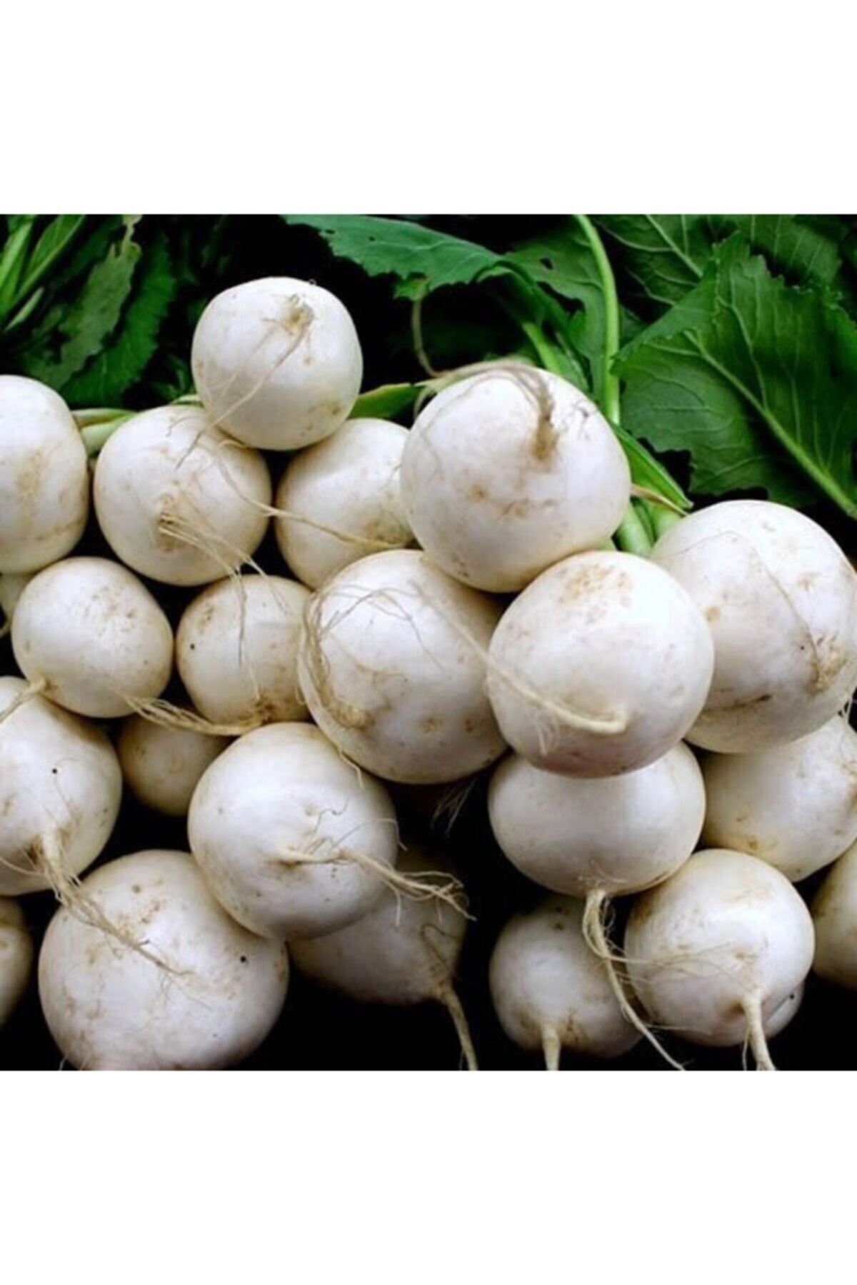 RAÇAM BOTANİK Beyaz Turp Tohumu 200 Gram