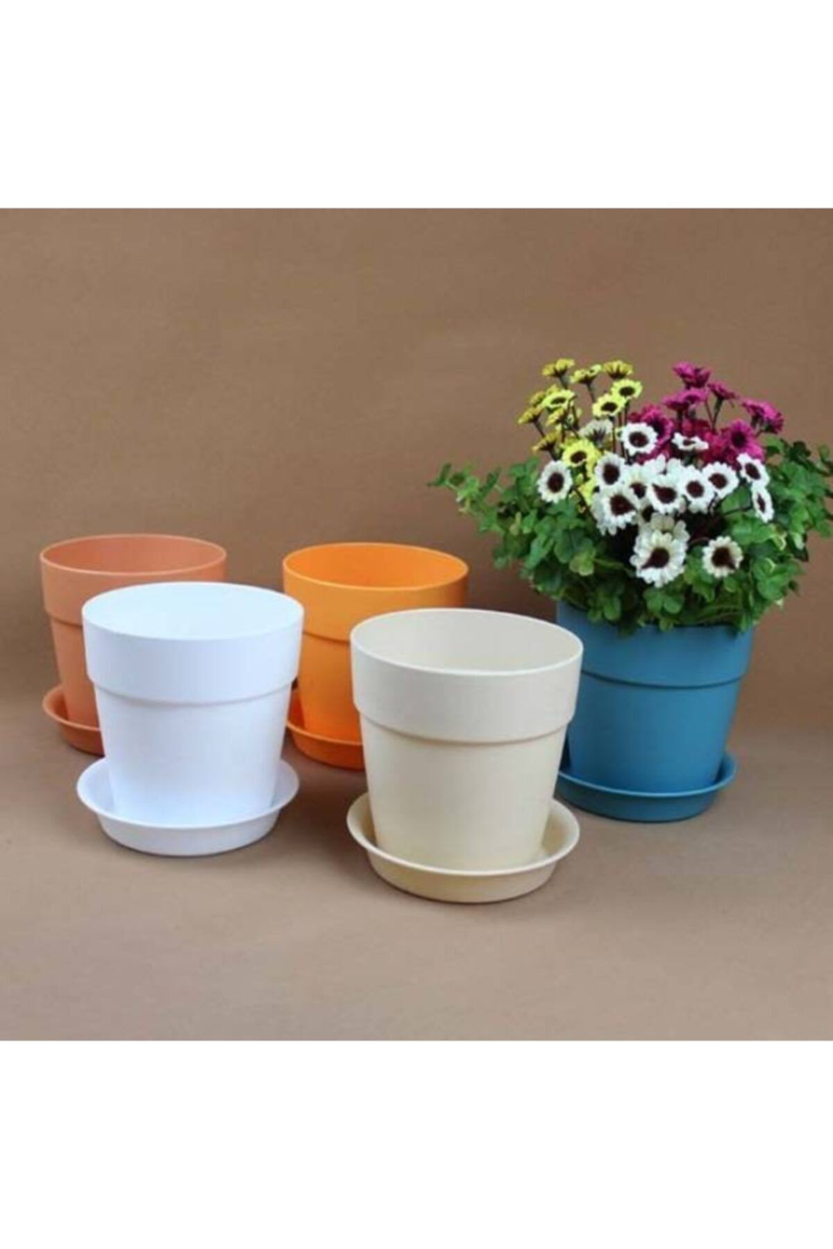 BEKA Saksı - Mini Kaktüs Saksısı Tera (3 Adet )