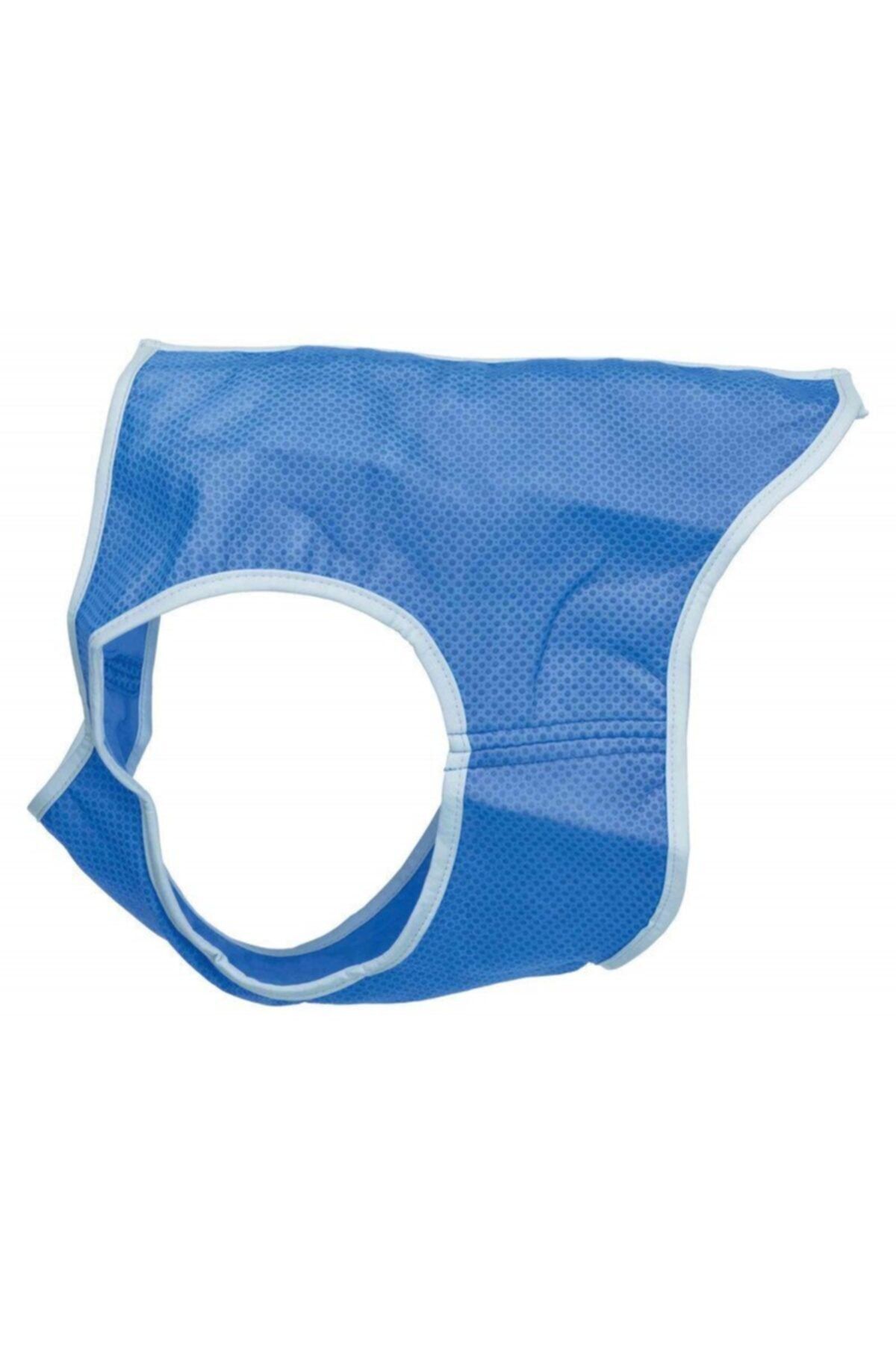 angel store Köpek Soğutucu Yelek, L : 35cm, Mavi