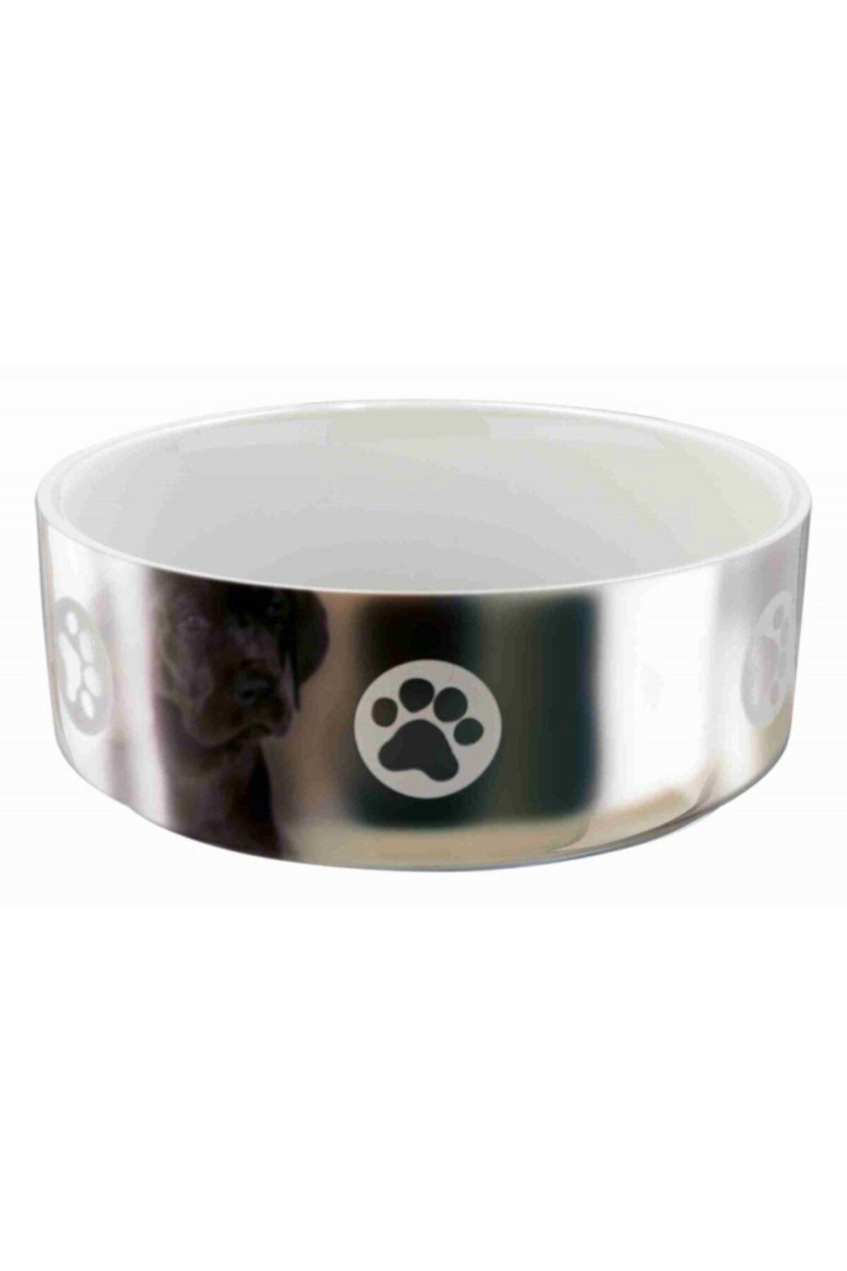 angel store Köpek Seramik Mama Ve Su Kabı 0,8lt, 15cm