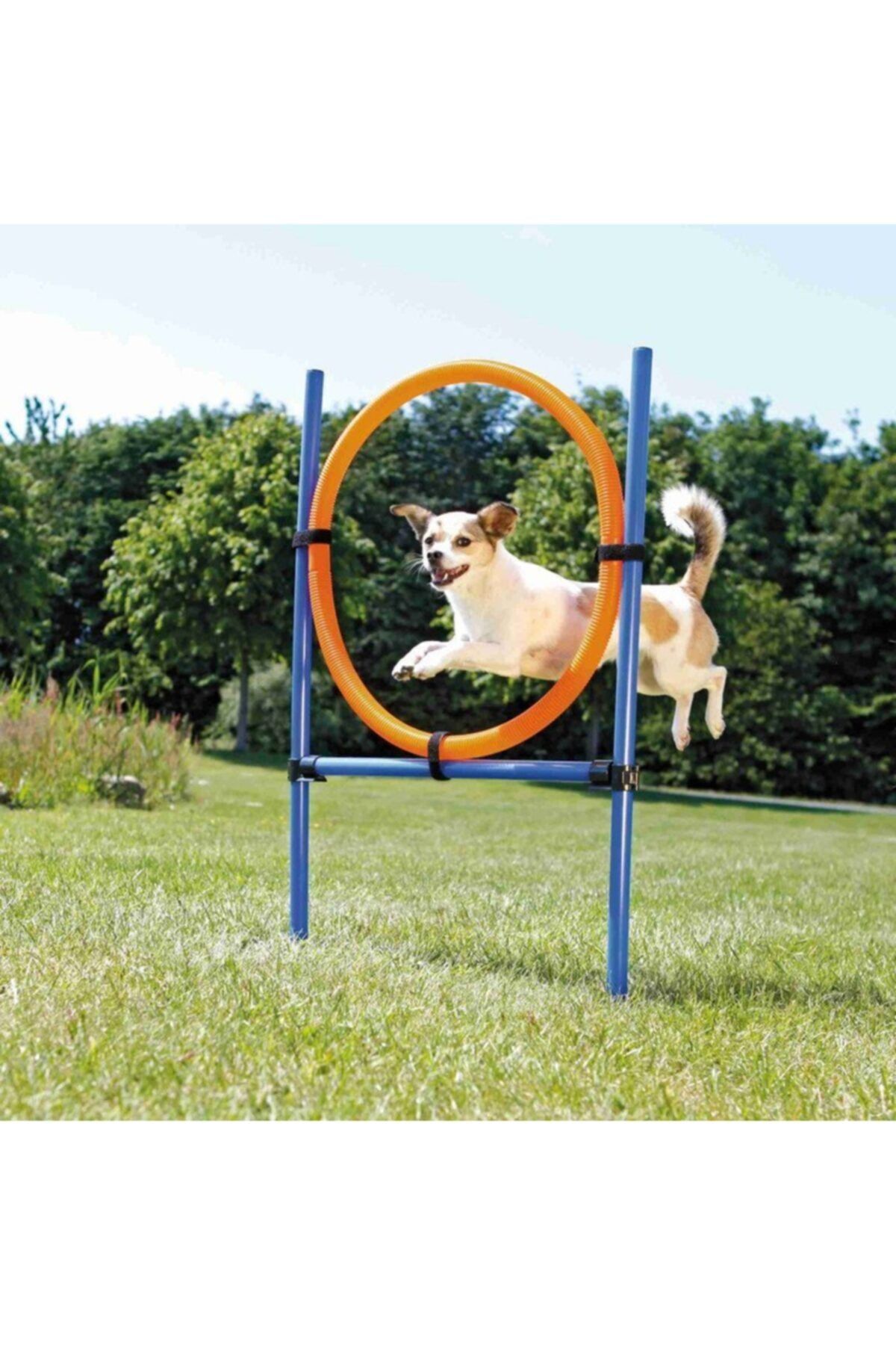 angel store Köpek Agility Eğitim Çemberi 115×ø3cm,ø65c