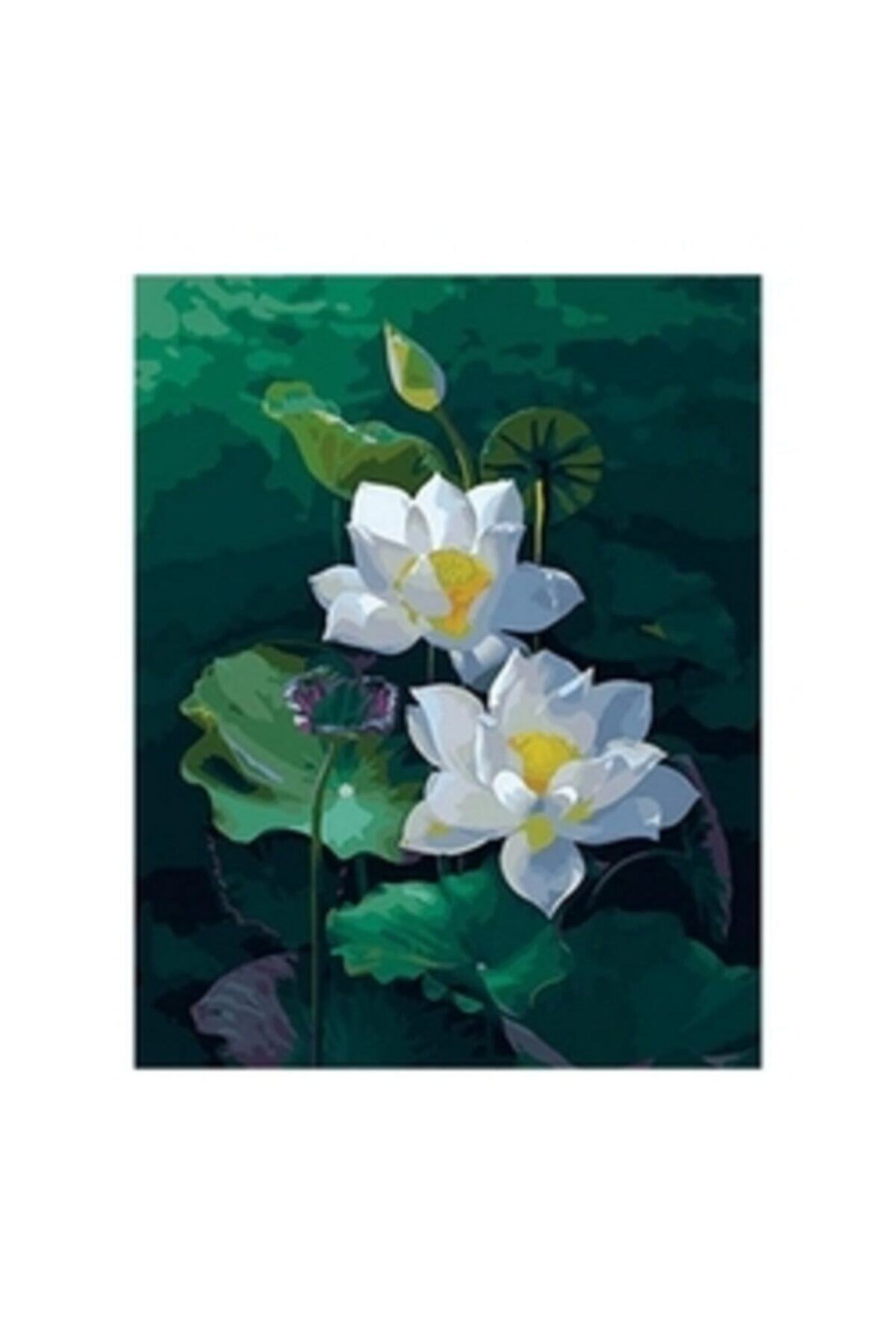 Fupe Shop Nilüfer Sayılarla Boyama Seti Kasnaklı 70 X 90 Cm