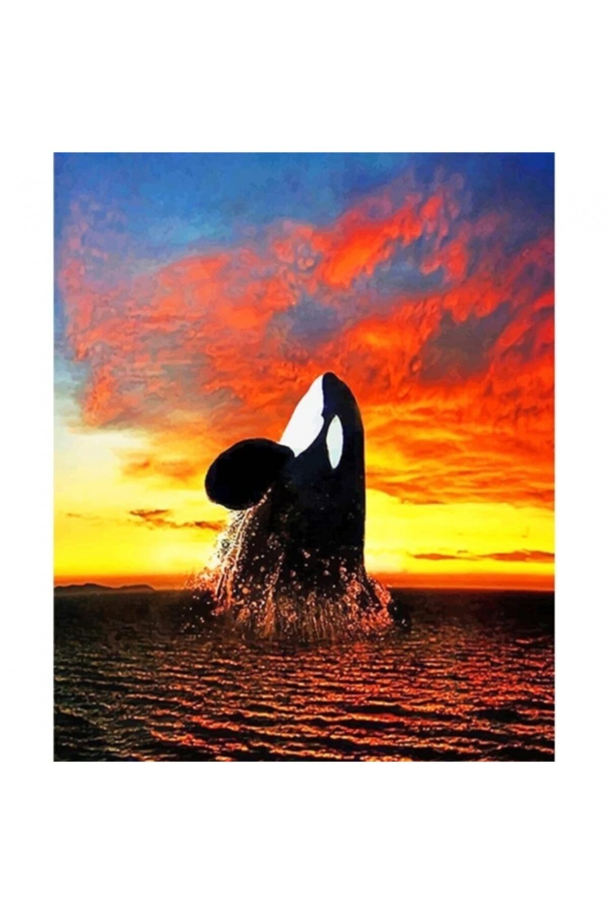 Fupe Shop Balina Sayılarla Boyama Seti Sayılarla Boyama Seti Kasnaklı 60 X 75 Cm