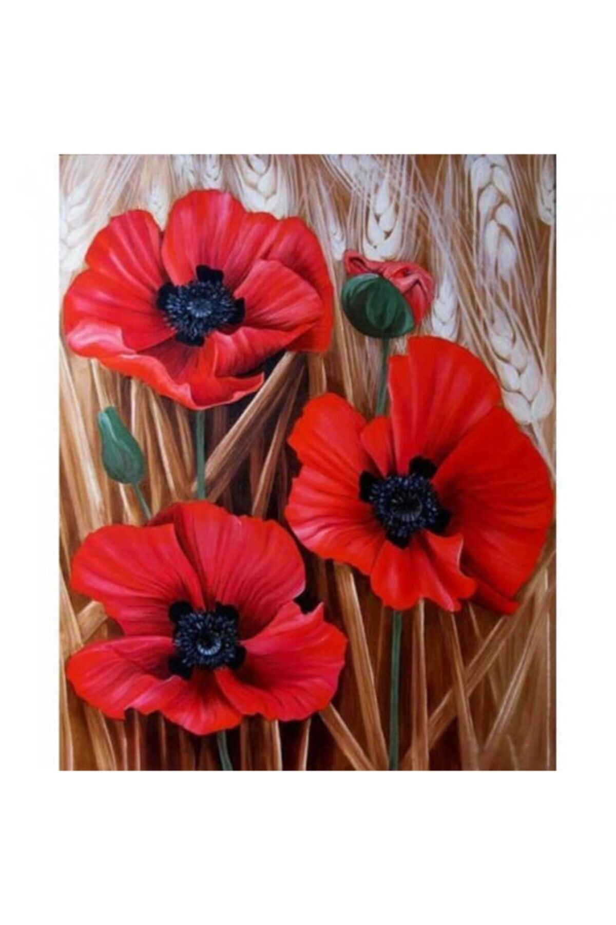 Fupe Shop Başak Ve Gelincik Renkli Sayılarla Boyama Seti Kasnaklı 60 X 75 Cm