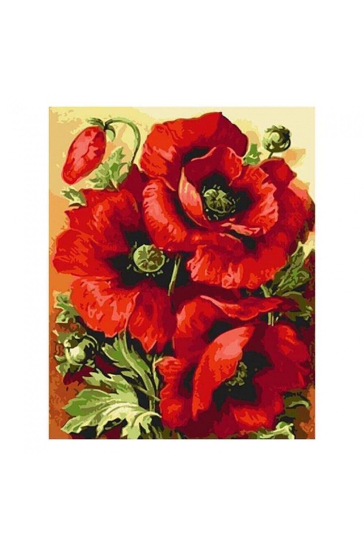 Fupe Shop Gelincik Demeti Sayılarla Boyama Seti Kasnaklı 90 X 110 Cm