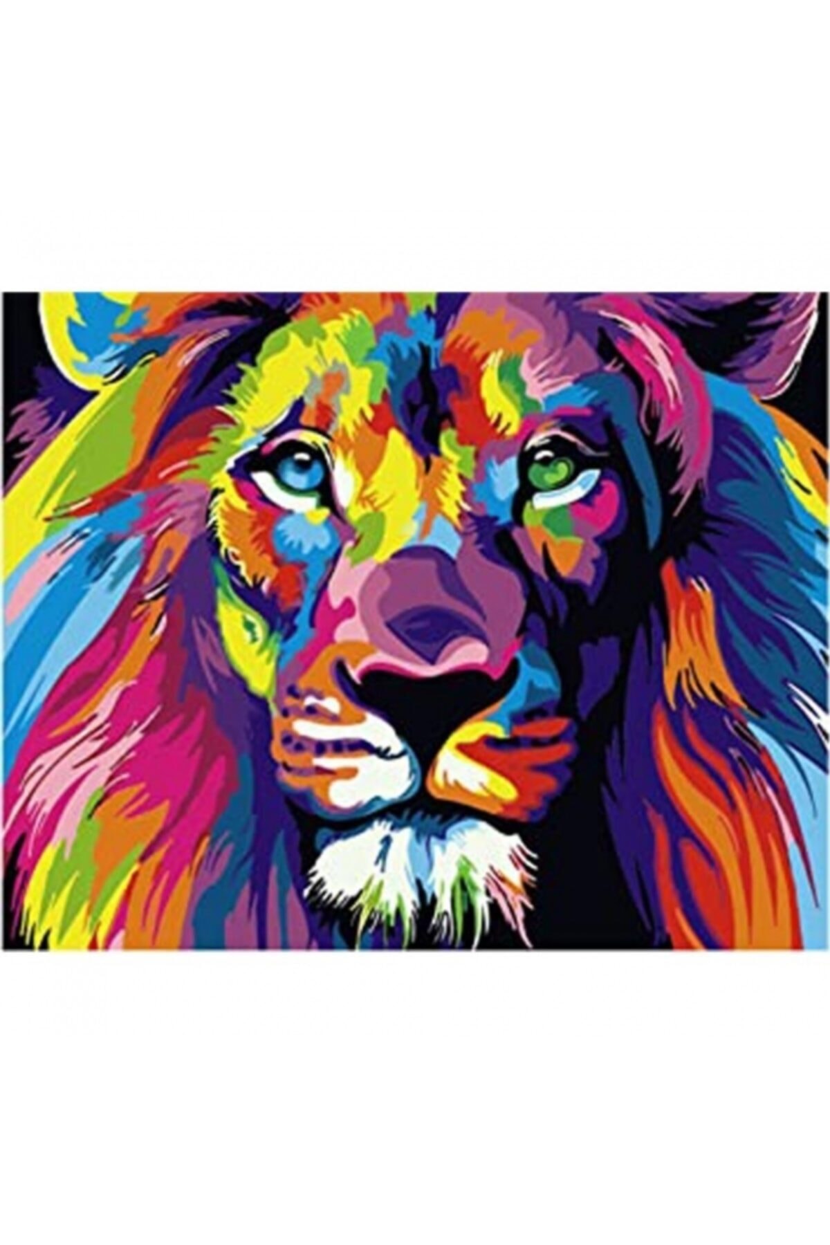 Fupe Shop Renklerin Kralı Sayılarla Boyama Seti Kasnaklı 90 X 110 Cm