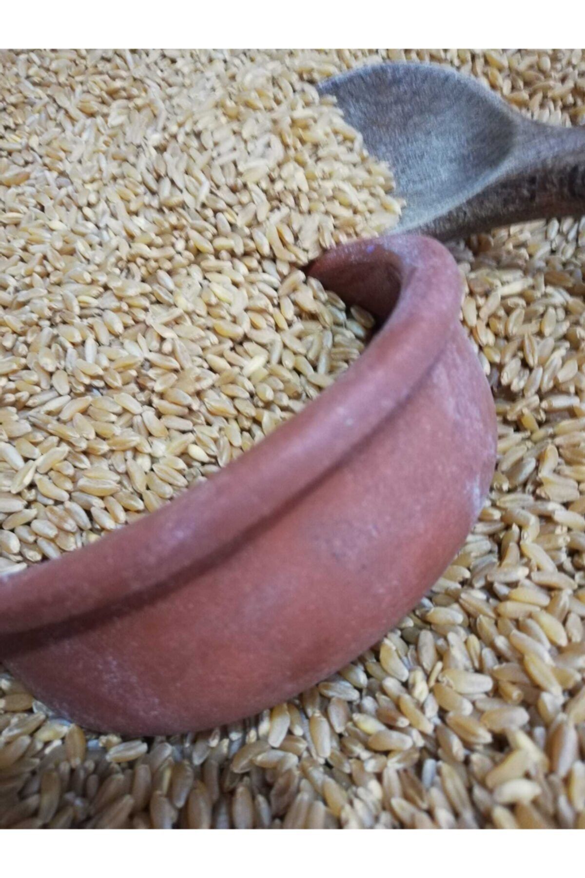 SİVRİCE TİCARET Menceki Hedik Buğdayı 1 Kg