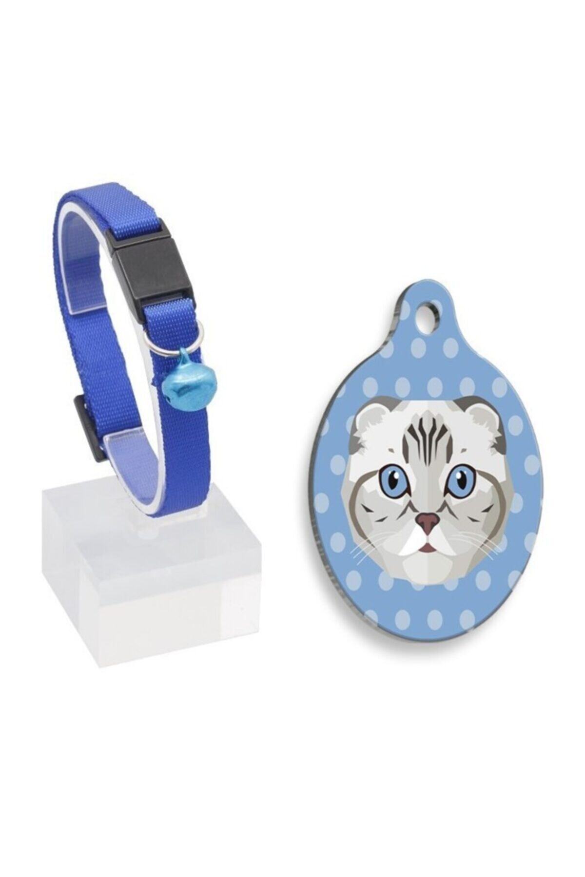 Thepassage Güvenlik Kilitli Zilli Ve Ayarlanabilir Kedi Boyun Tasması 22-30 Cm+scottish Fold Kedi Künyesi