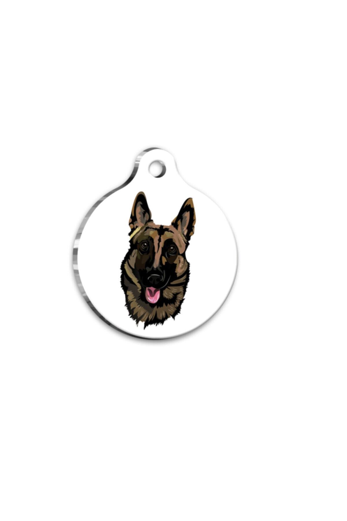 Thepassage Belçika Malinois Yuvarlak Köpek Künyesi
