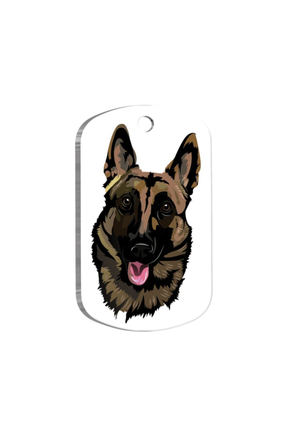 Thepassage Belçika Malinois Tasarım Köpek Künyesi