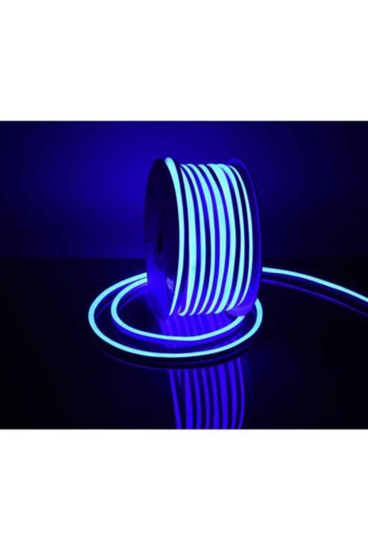 YULED 5 Metre Neon Mavi Hortum Şerit Led Işık Aydınlatma 220 Volt Tak Çalışt +güç Fişi