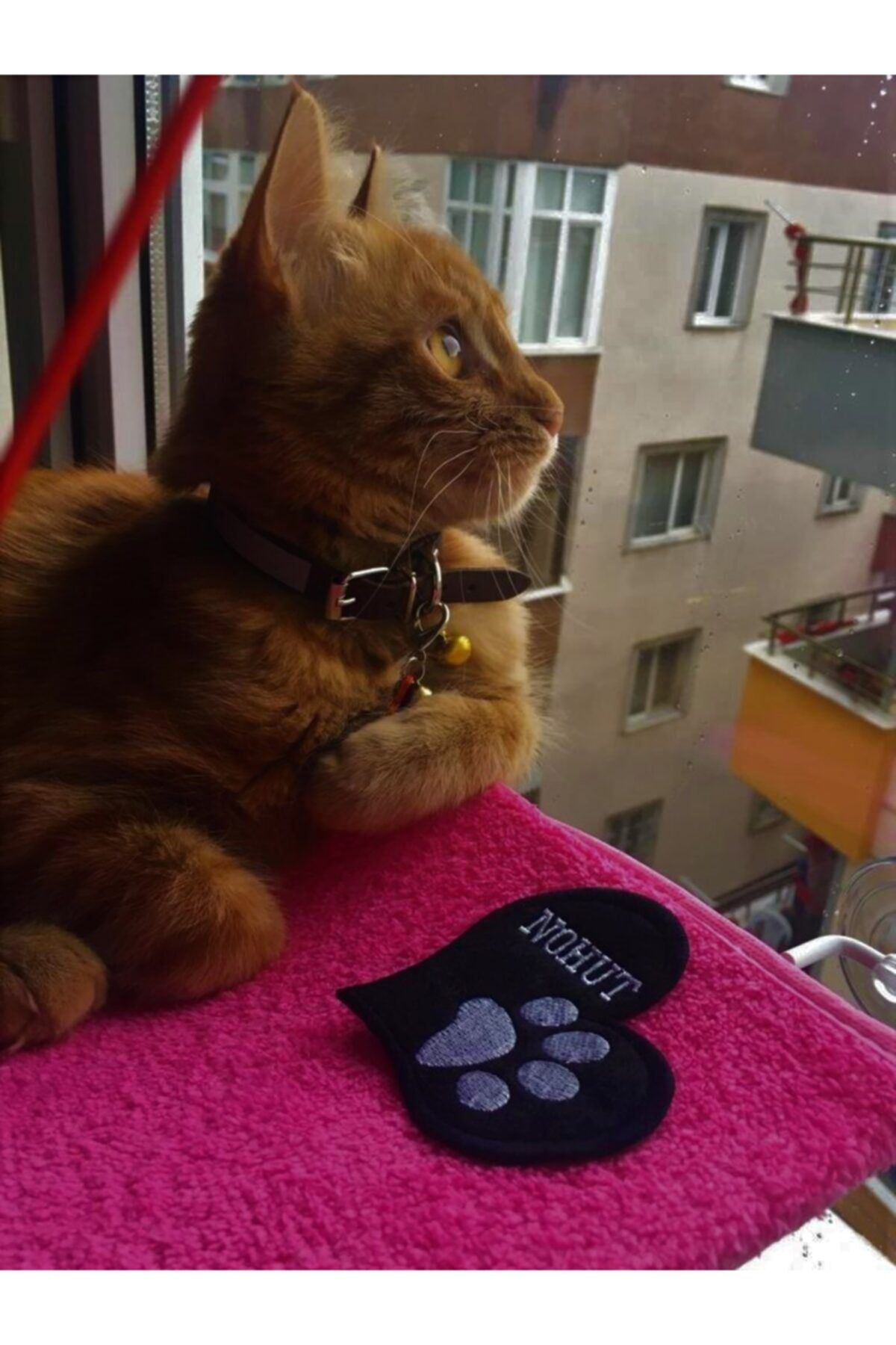 Okyanushop Cama Asılan Vantuzlu Kedi Yatağı