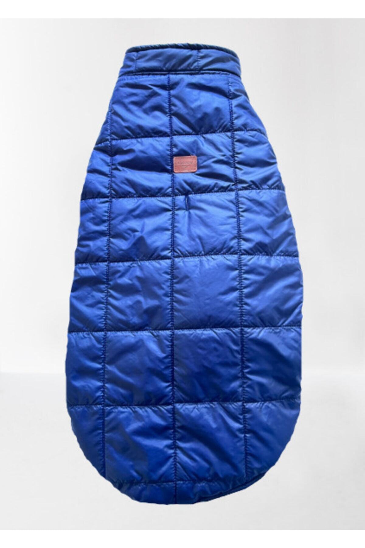 Alphadog Design Ocean Blue Köpek Kıyafeti Mont Yağmurluk