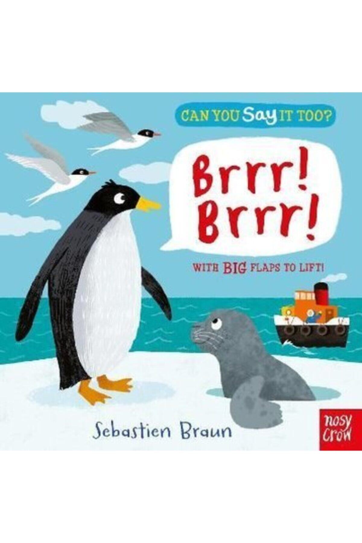 Nosy Crow Can You Say It Too  Brrr! Brrr! With Big Flaps To Lift!