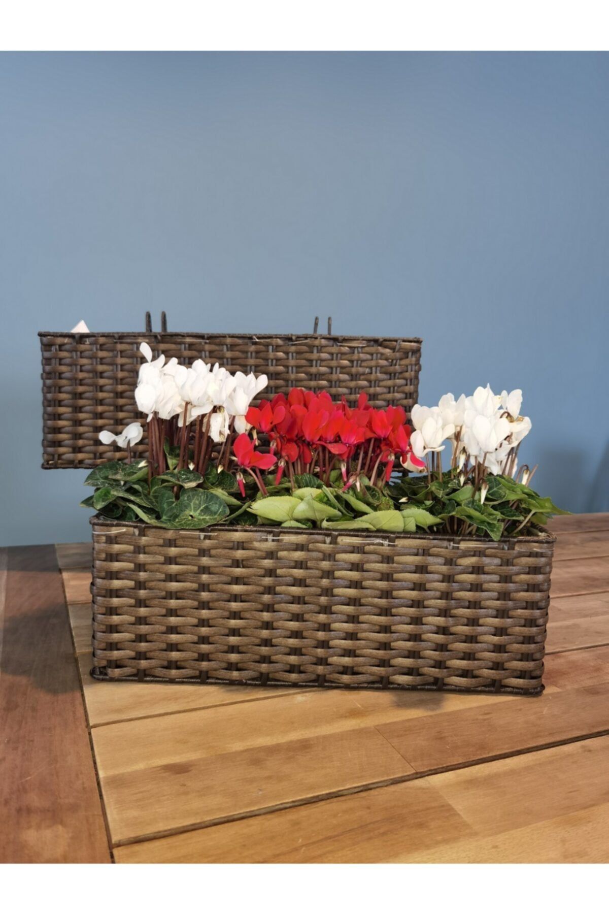Balcony Flower 2 li Balkon Sepet Saksılık