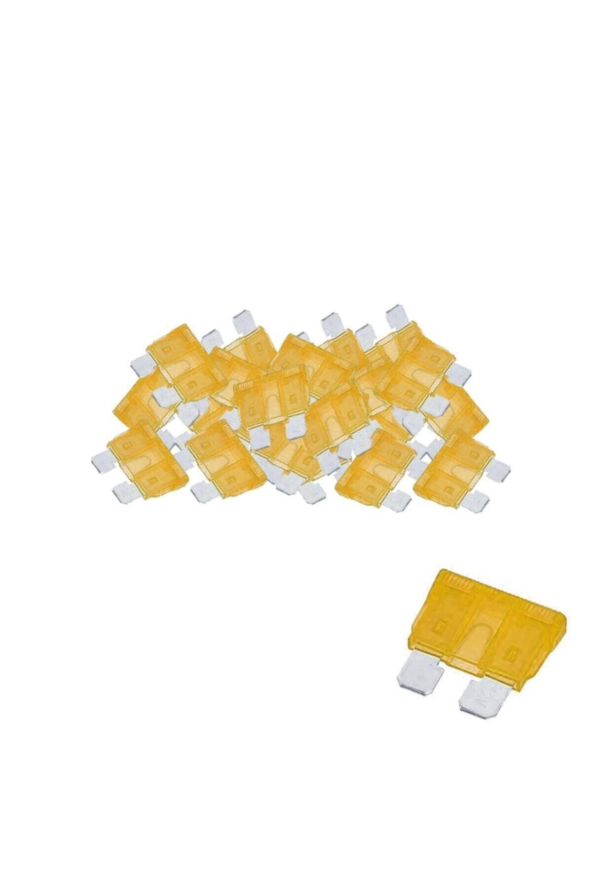 POLAXTOR Oto Sigorta Bıçaklı 20a 100 Adet Dy-3018