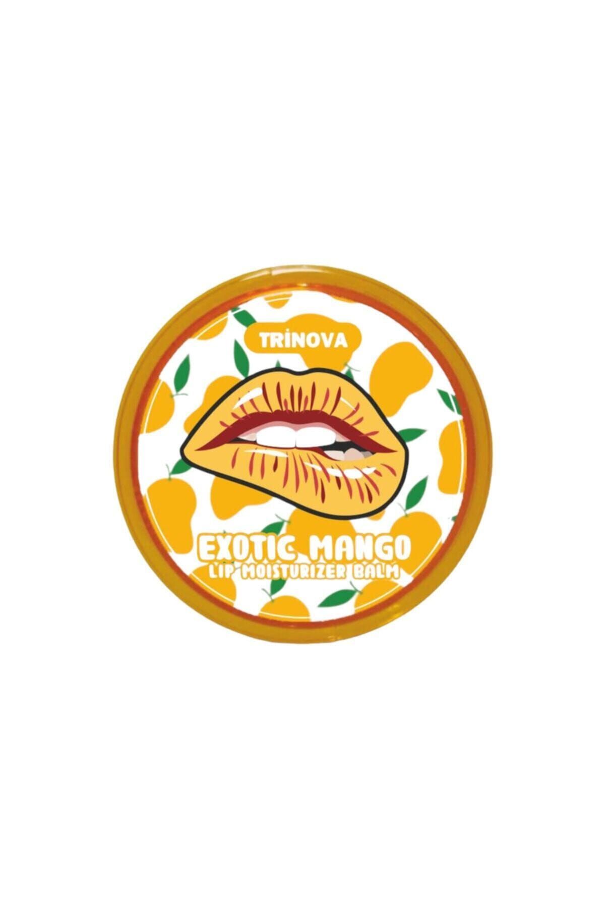 İMER ASEL Mango Aromalı Dudak Koruyucu Bakım Kremi Balm 15ml