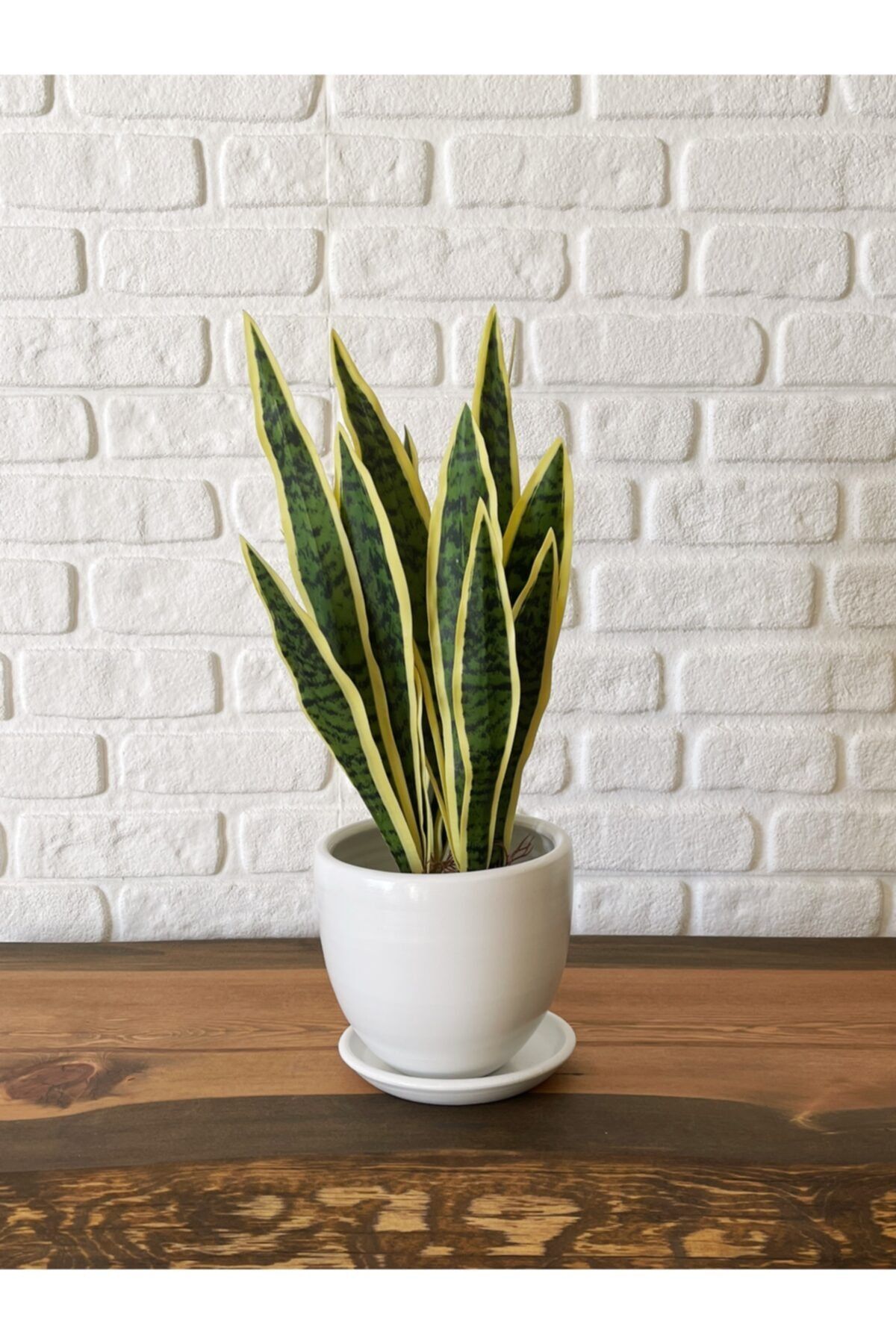 odka Saksı Tabaklı 17cm Kırık Beyaz