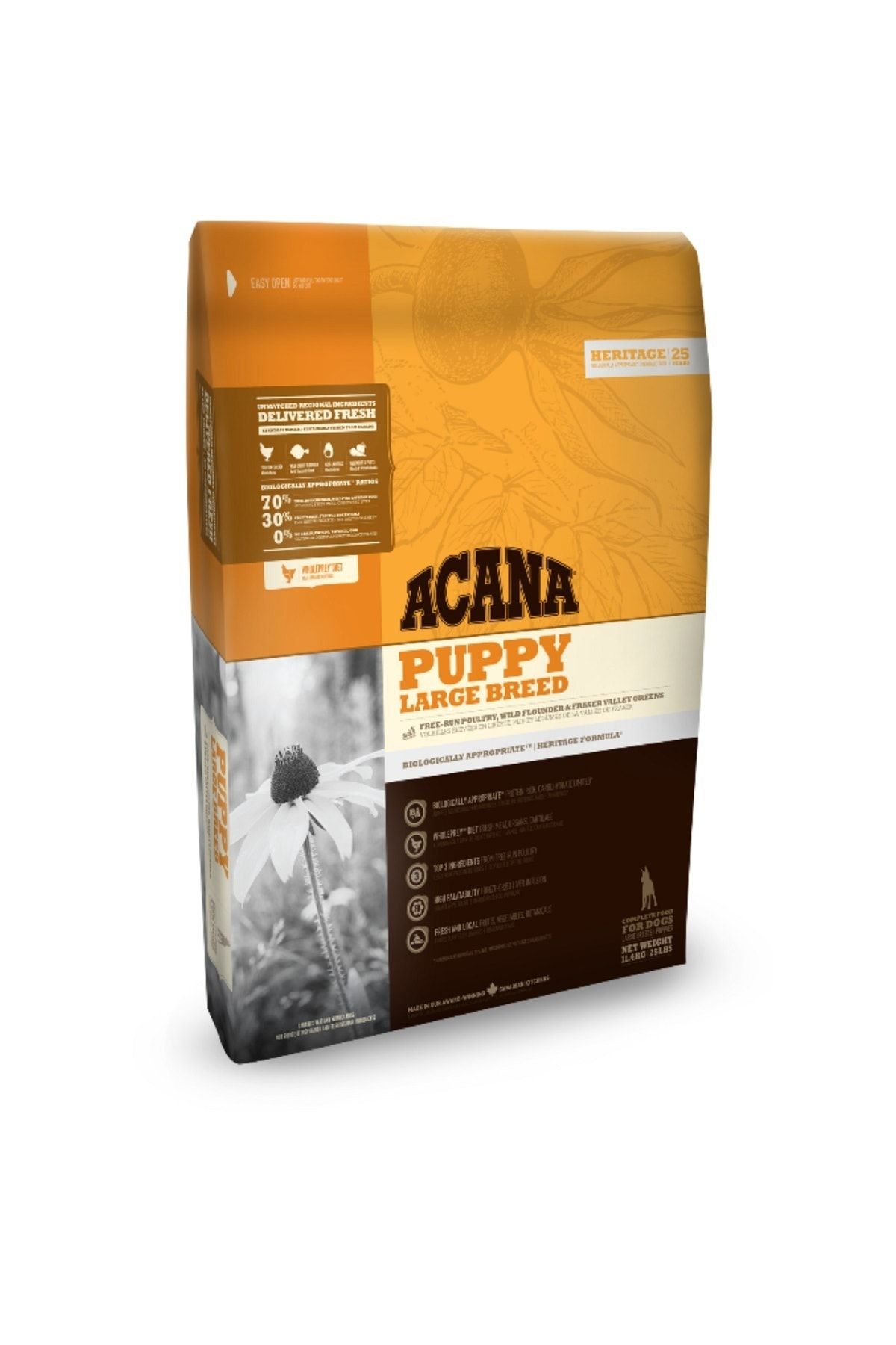 Acana Puppy Large Tahılsız Tavuklu Ve Balıklı Yavru Köpek Maması 11.4 Kg