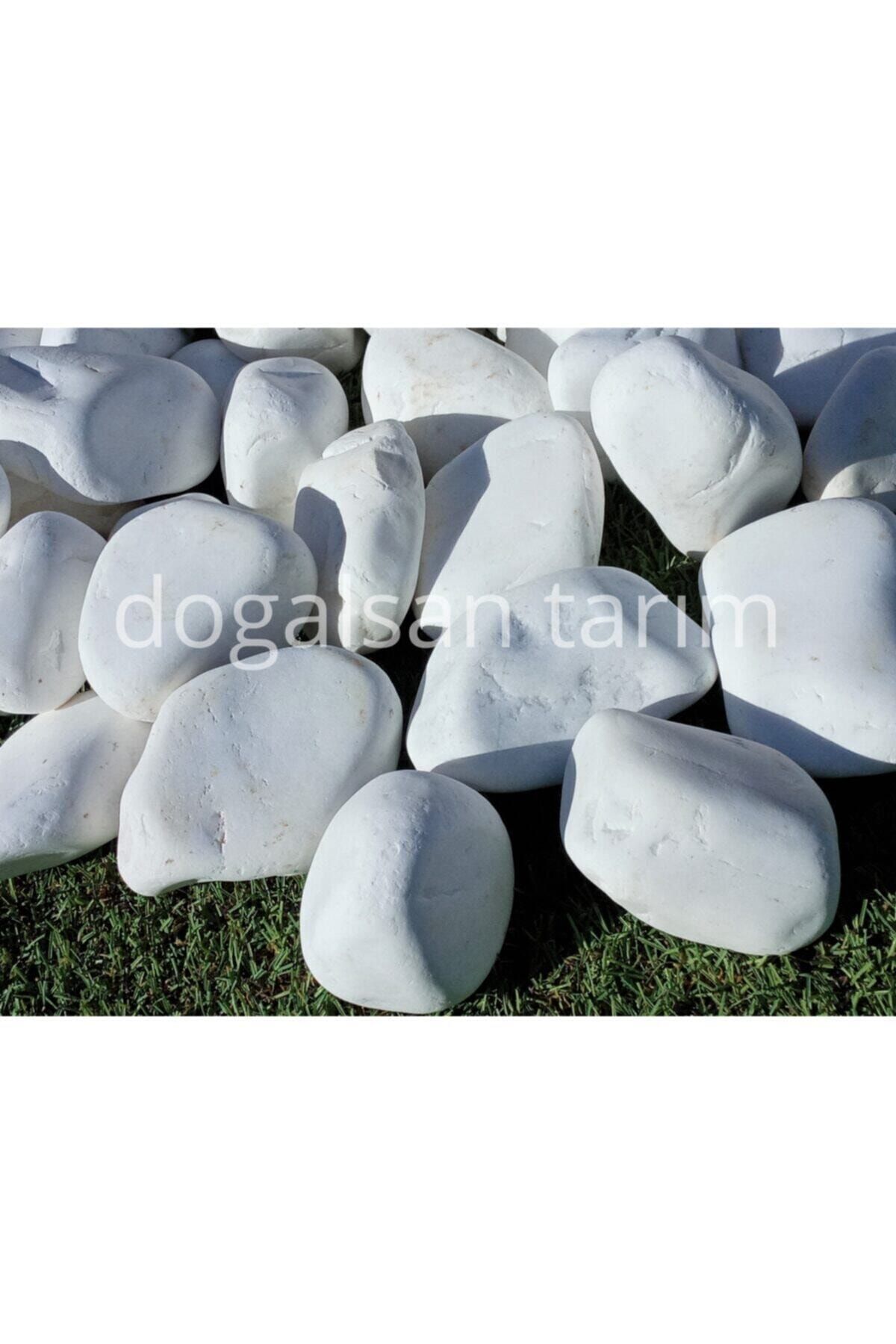 Doğalsan Tarım Beyaz Dolomit Taş 2 Kg (4-6 Cm) Dere Taşı Çakıl Taşı Saksı Taşı Akvaryum Teraryum Taşı Bahçe Taşı